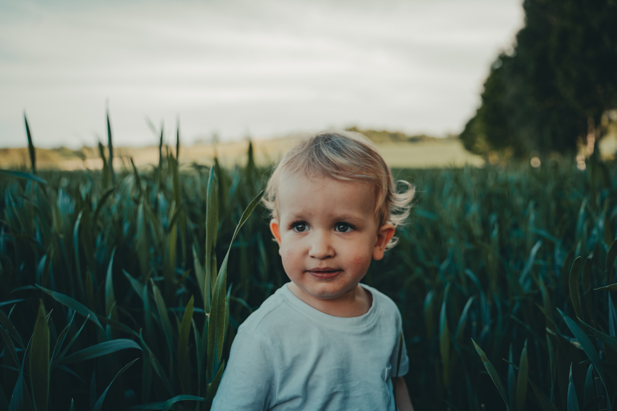 Sesje rodzinne. Ania Smol Fotograf Olsztyn