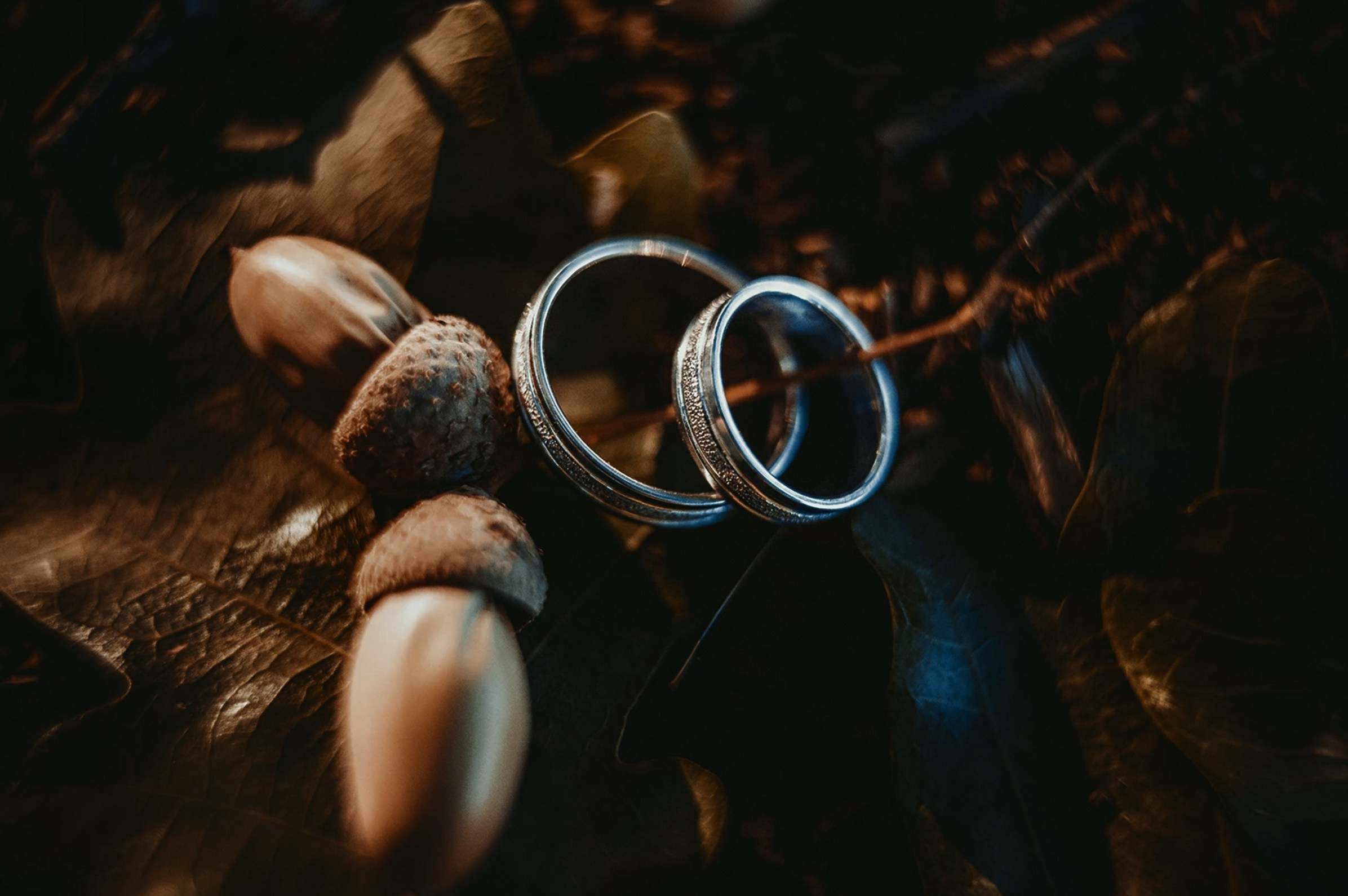 Свадебная съёмка. Индивидуальный и парный фотограф на Бали — Bali Dream Photo