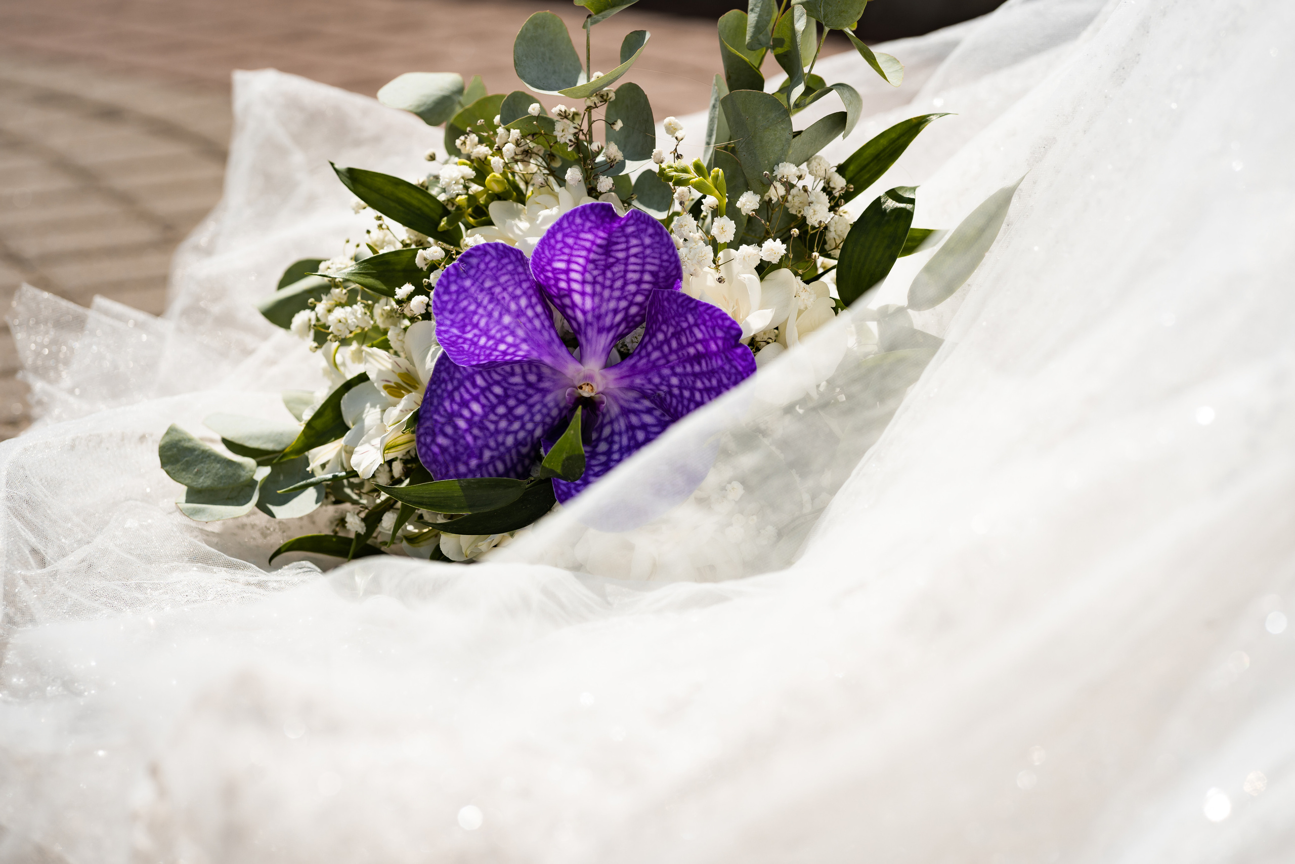 N&L. Montenegro photographer and videographer