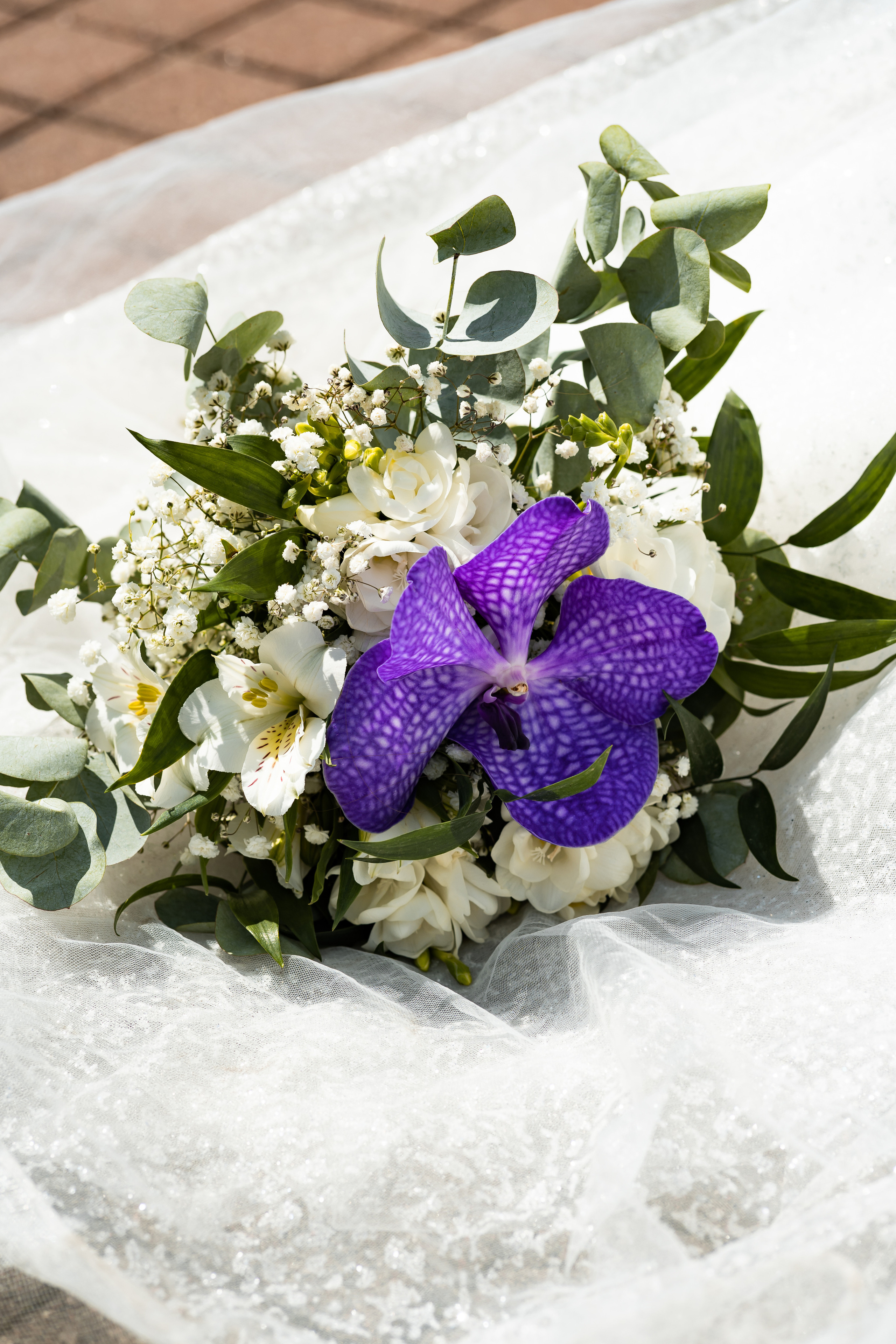 N&L. Montenegro photographer and videographer