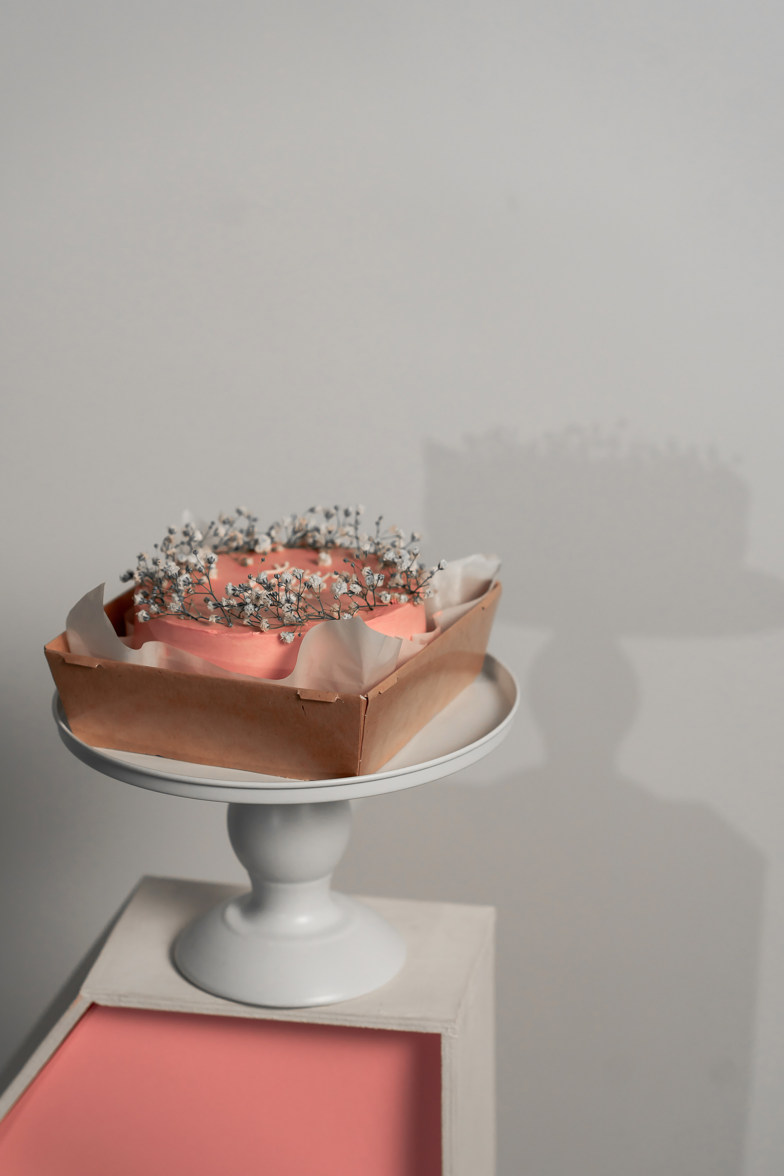 AMELIA 1. Montenegro photographer and videographer