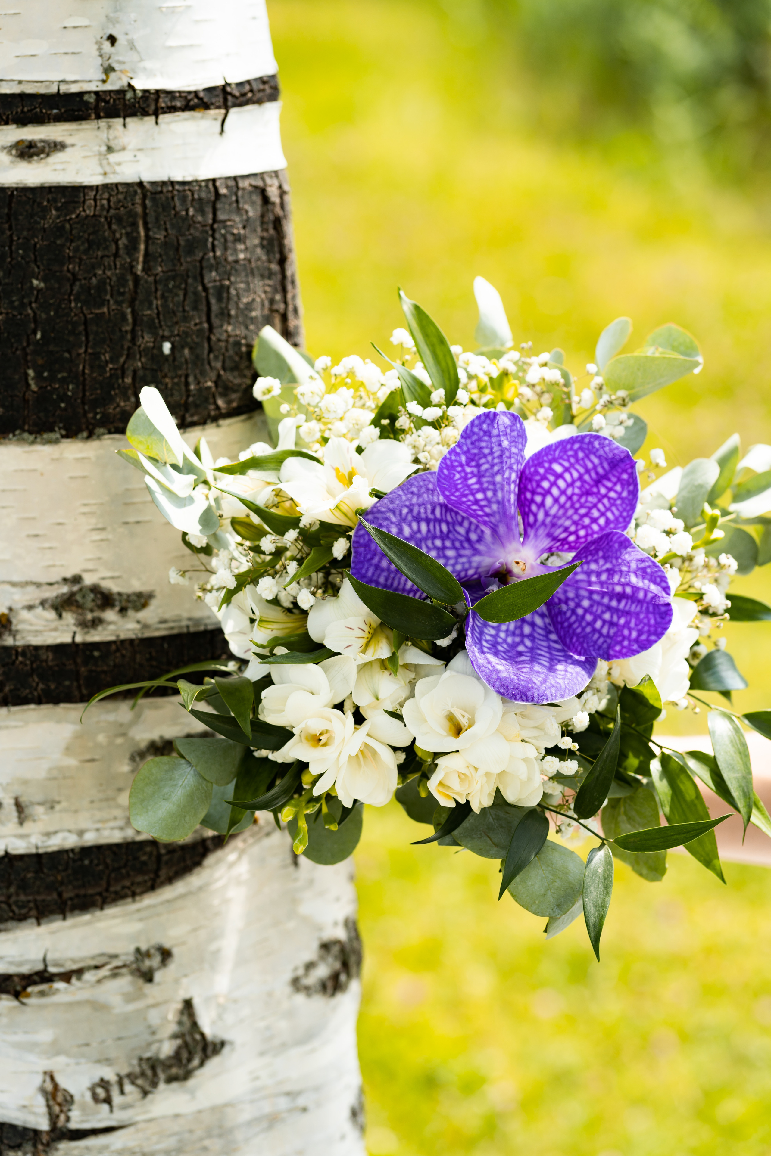 N&L. Montenegro photographer and videographer