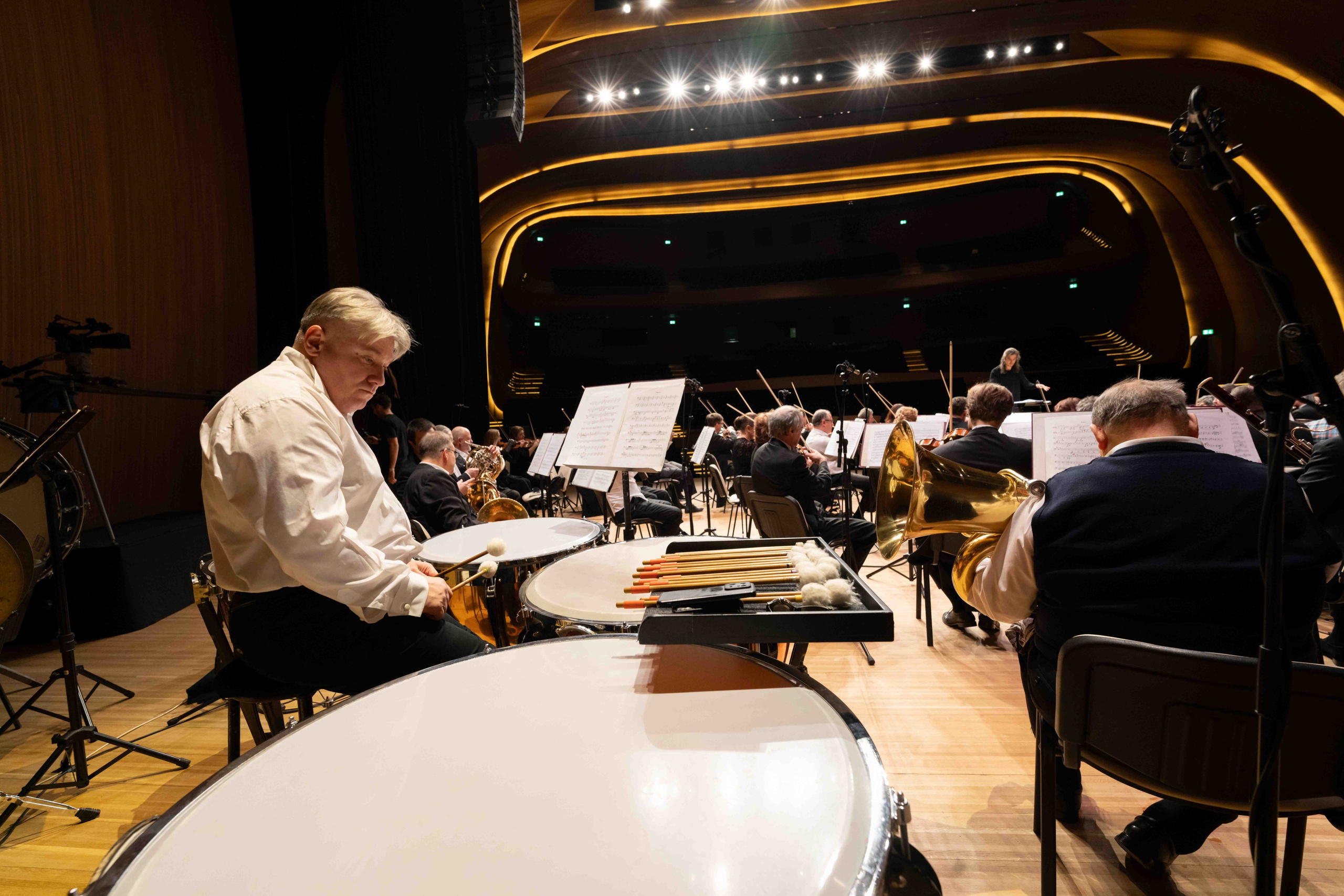 The Tchaikovsky Academic Grand Symphony Orchestra in Baku. Wedding&Event photographer Ismail Rzayev in Baku
