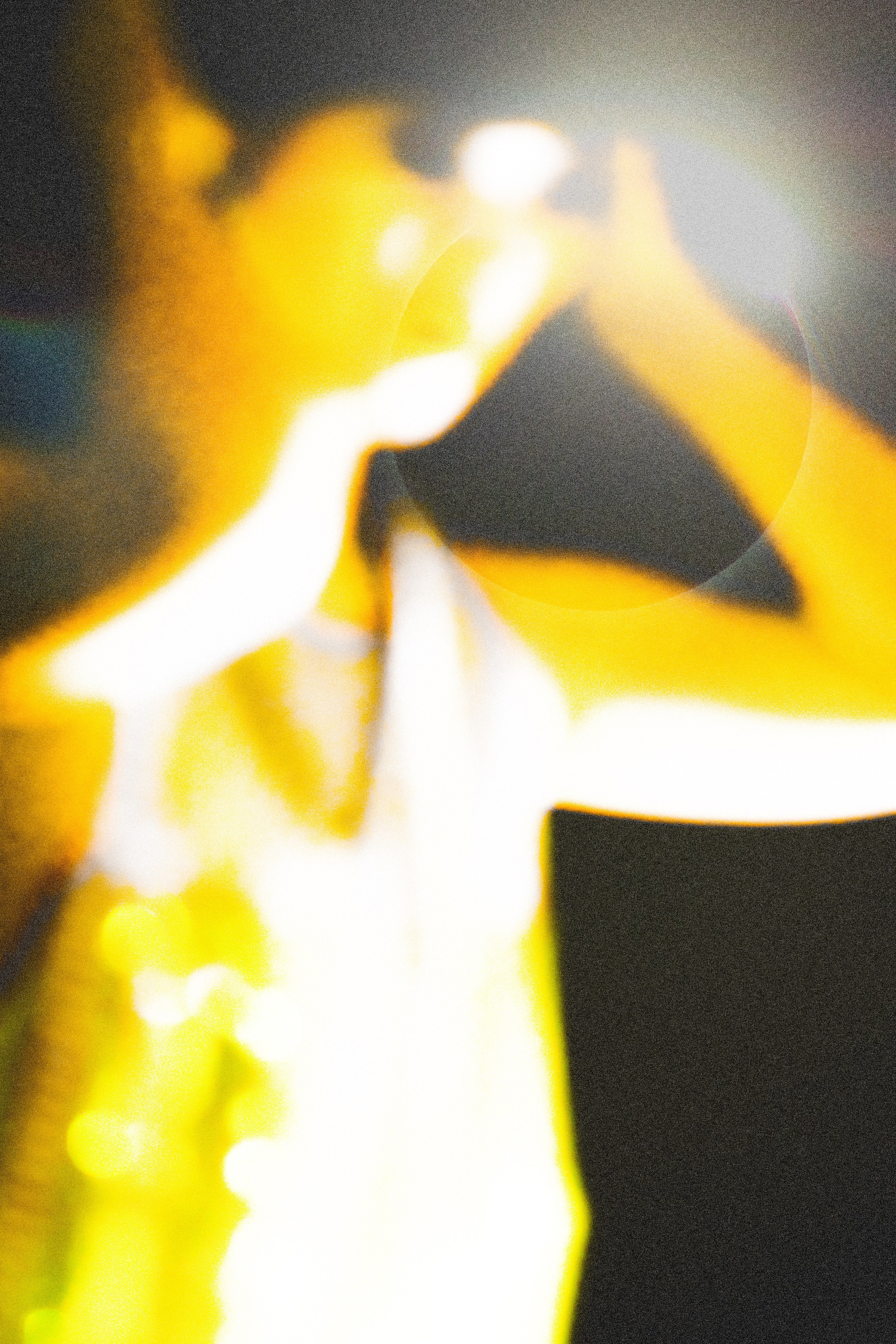 MIRAN　PROJECT. Anna Miyauchi