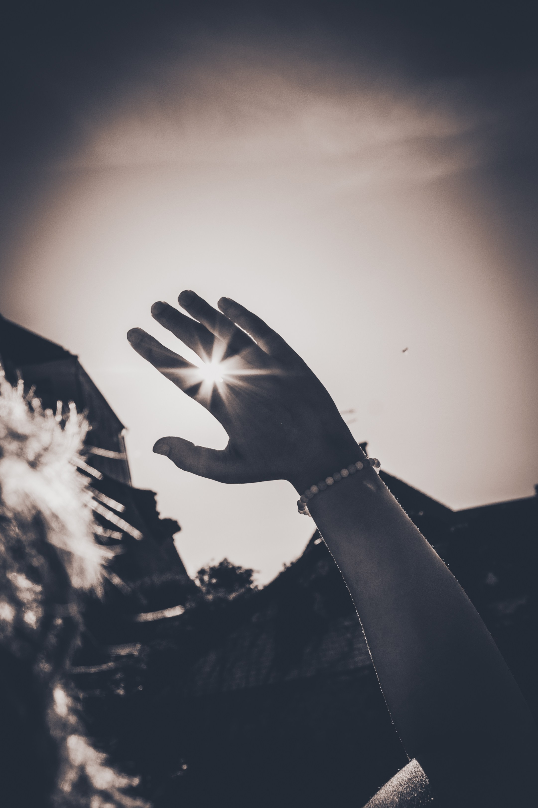 Lahe graatsia (Sonja). Nebula 25 — Fotod teie hingele