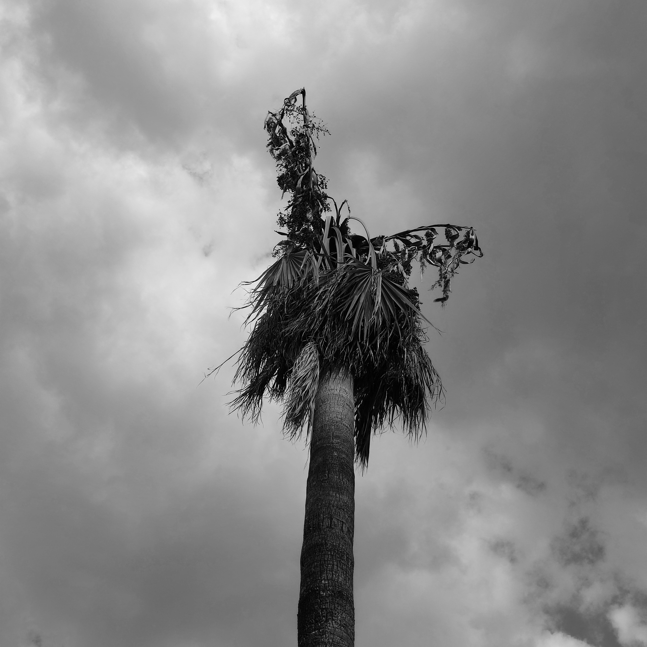 TRUCE. Documentary photographer in Yerevan Vaghinak Ghazaryan