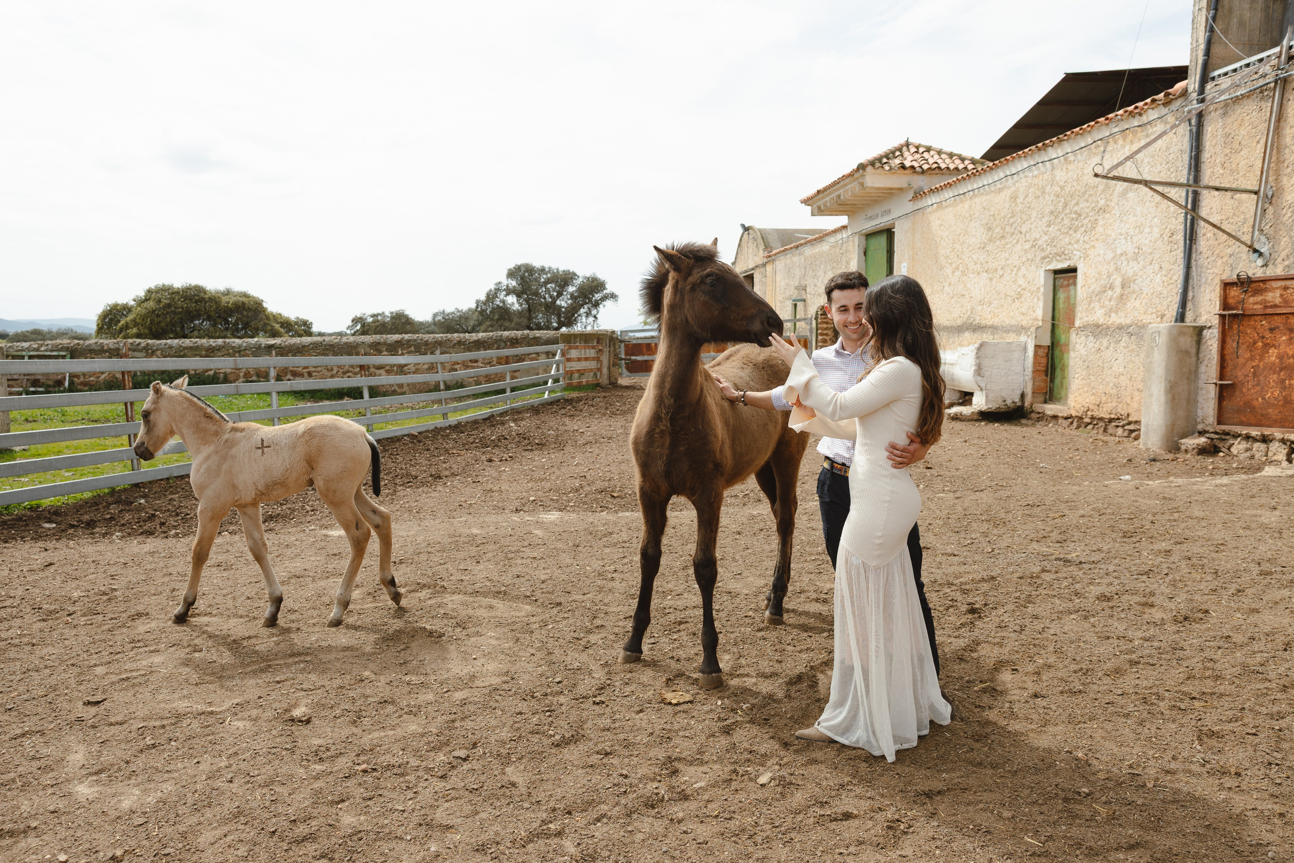 PREBODA EN UNA GANADERÍA DE TOROS. Fotógrafo y Videógrafo de bodas y eventos