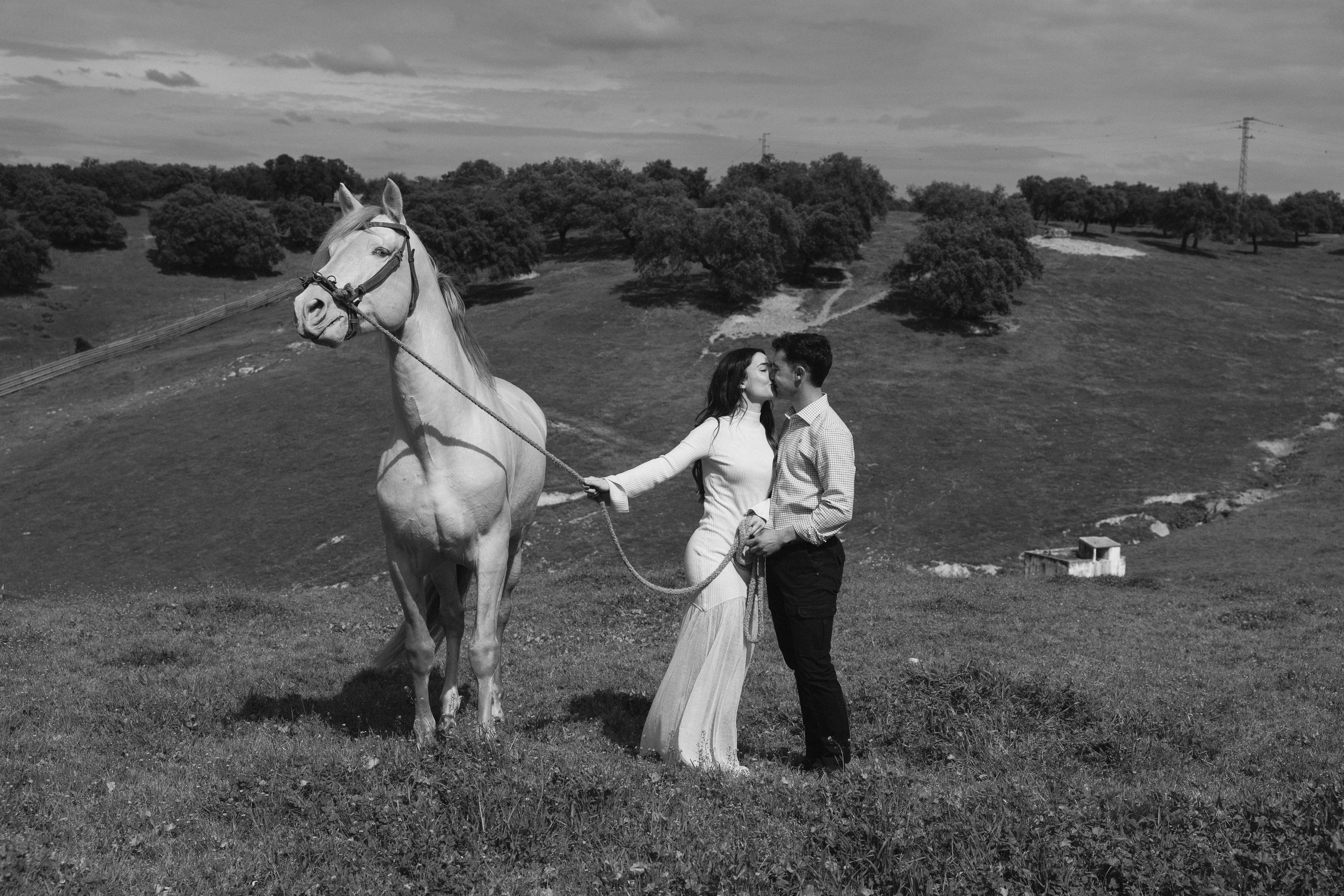 PREBODA EN UNA GANADERÍA DE TOROS. Fotógrafo y Videógrafo de bodas y eventos