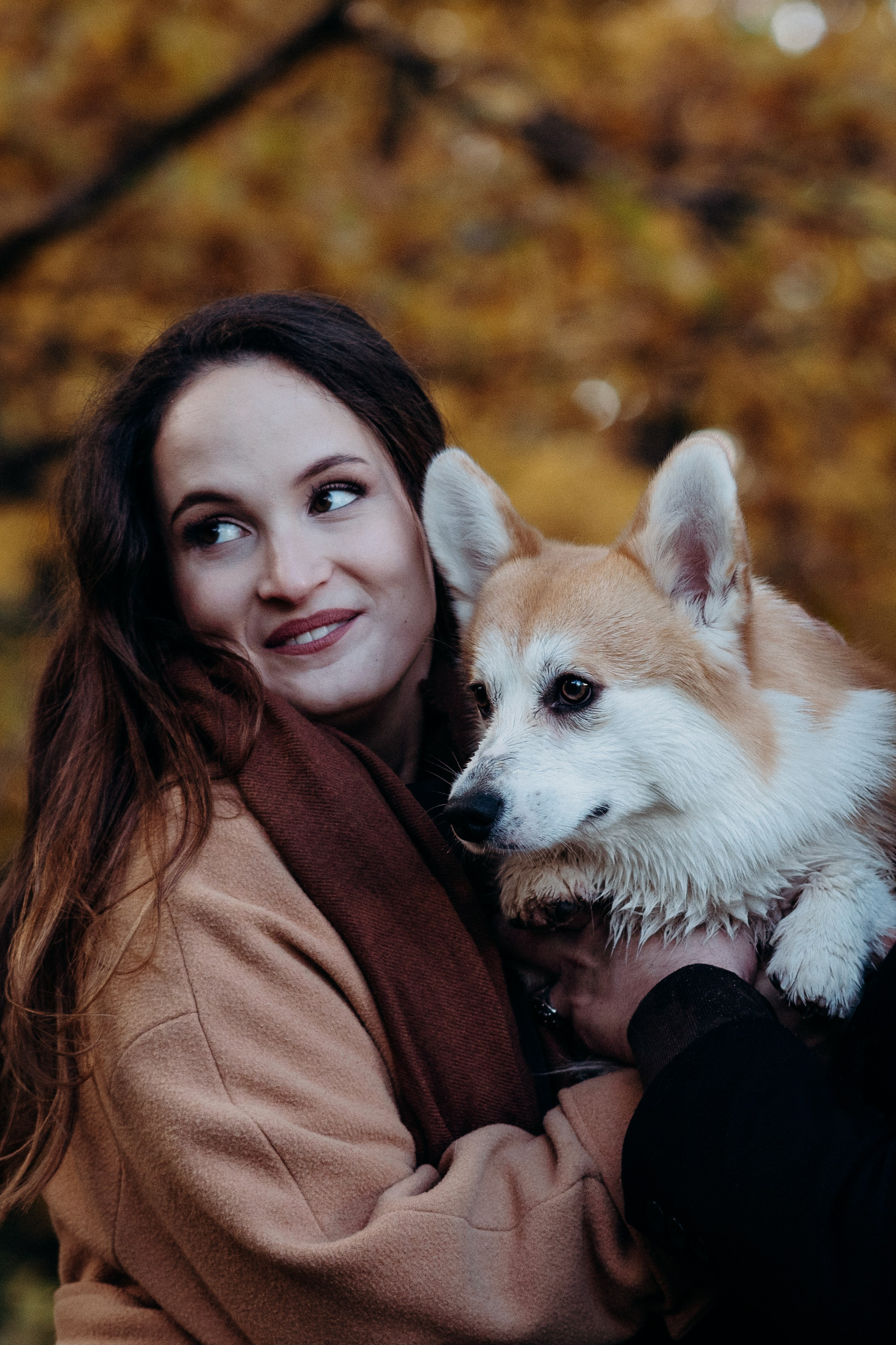 Liisa, Alexander & Marsel. Фотограф-анималист в Таллинне, Катя Лайсаар
