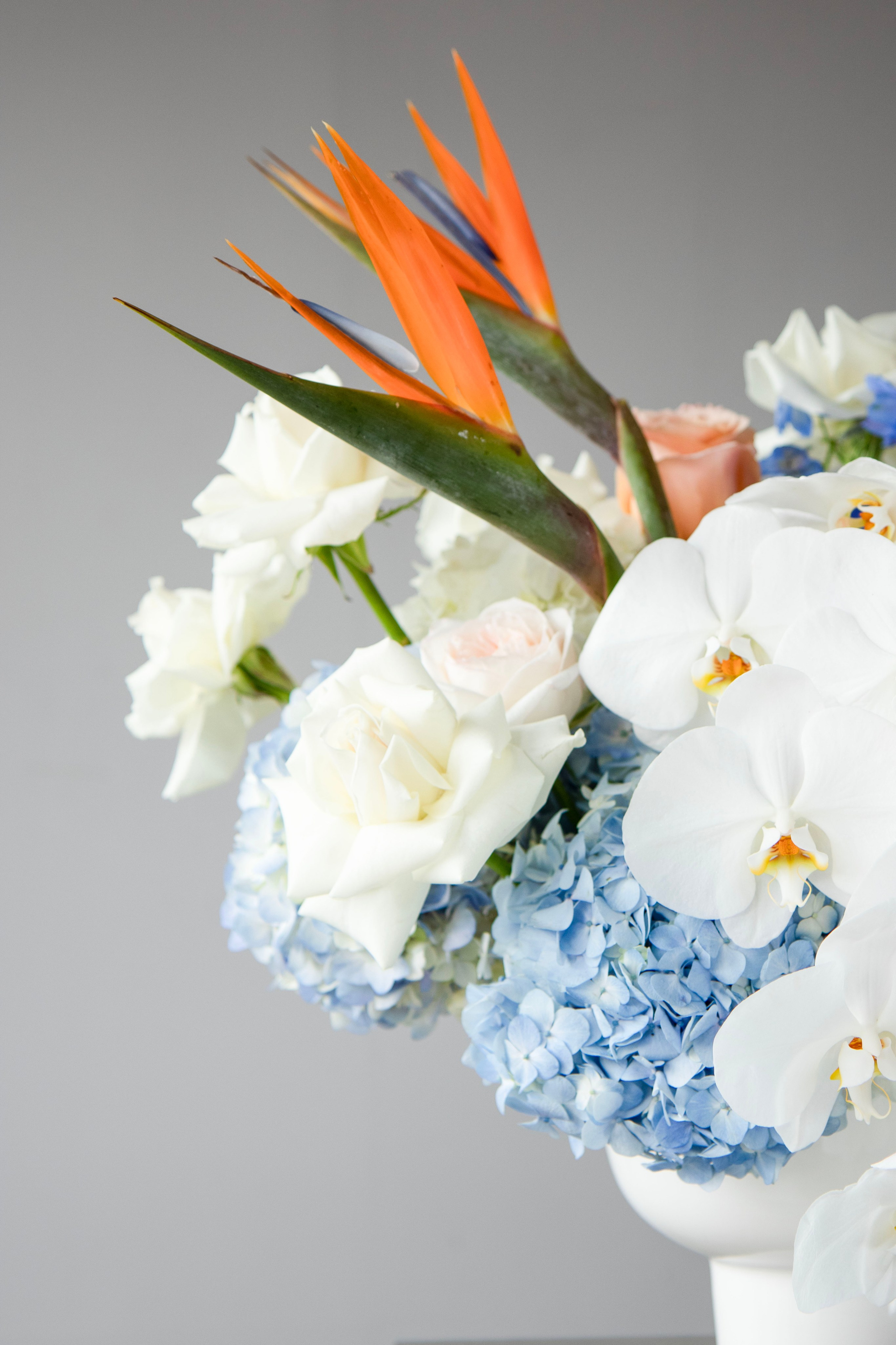 043. Palagina Ksusha, photographer in NY