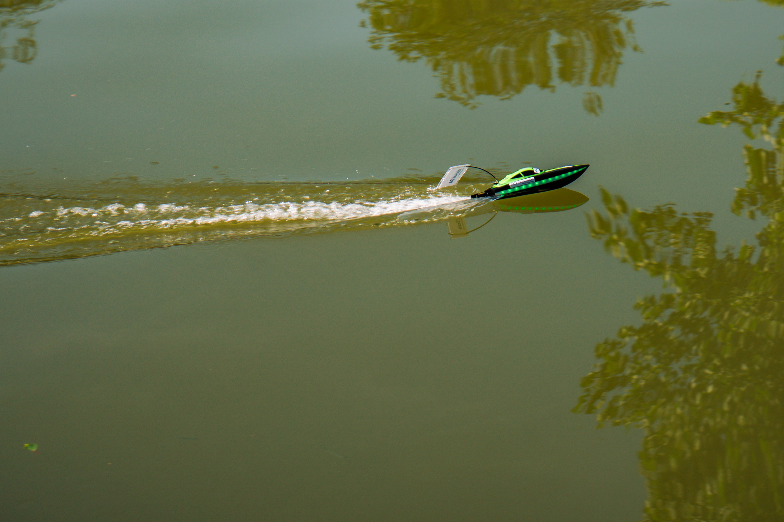 06.04 Bega Boat Race. Cozac Cristian Photographer