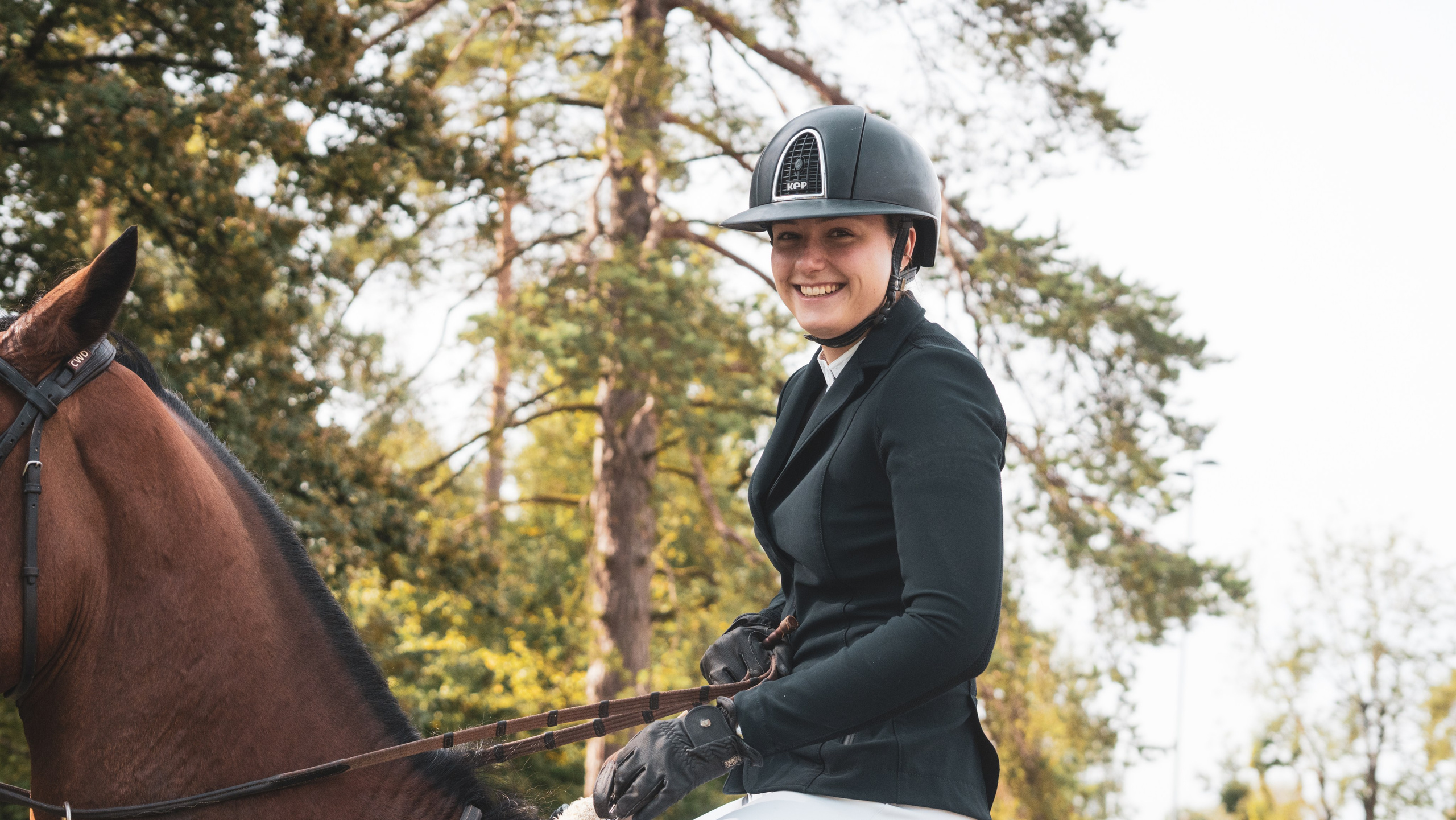 Equestrian Competition