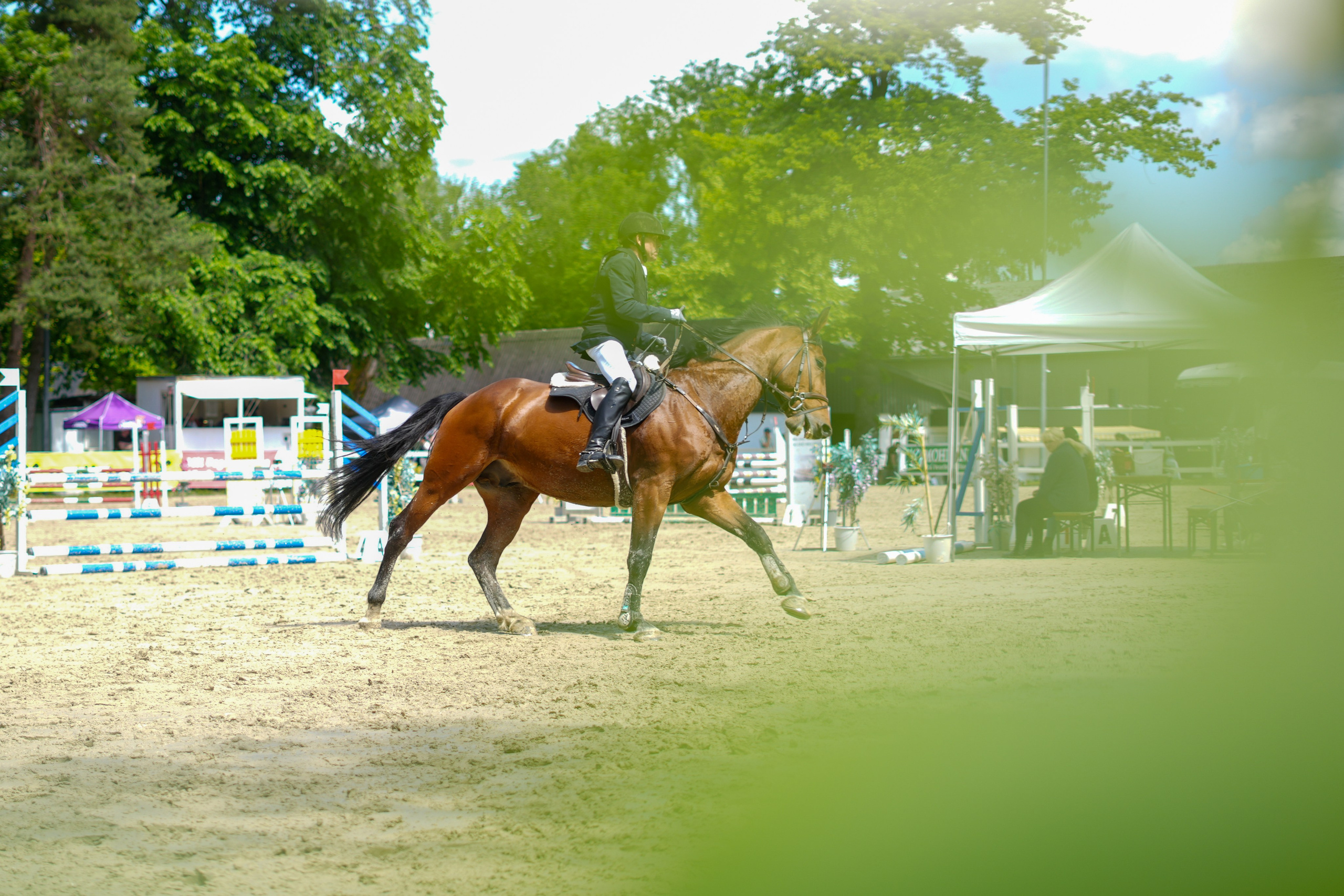 Equestrian Competition