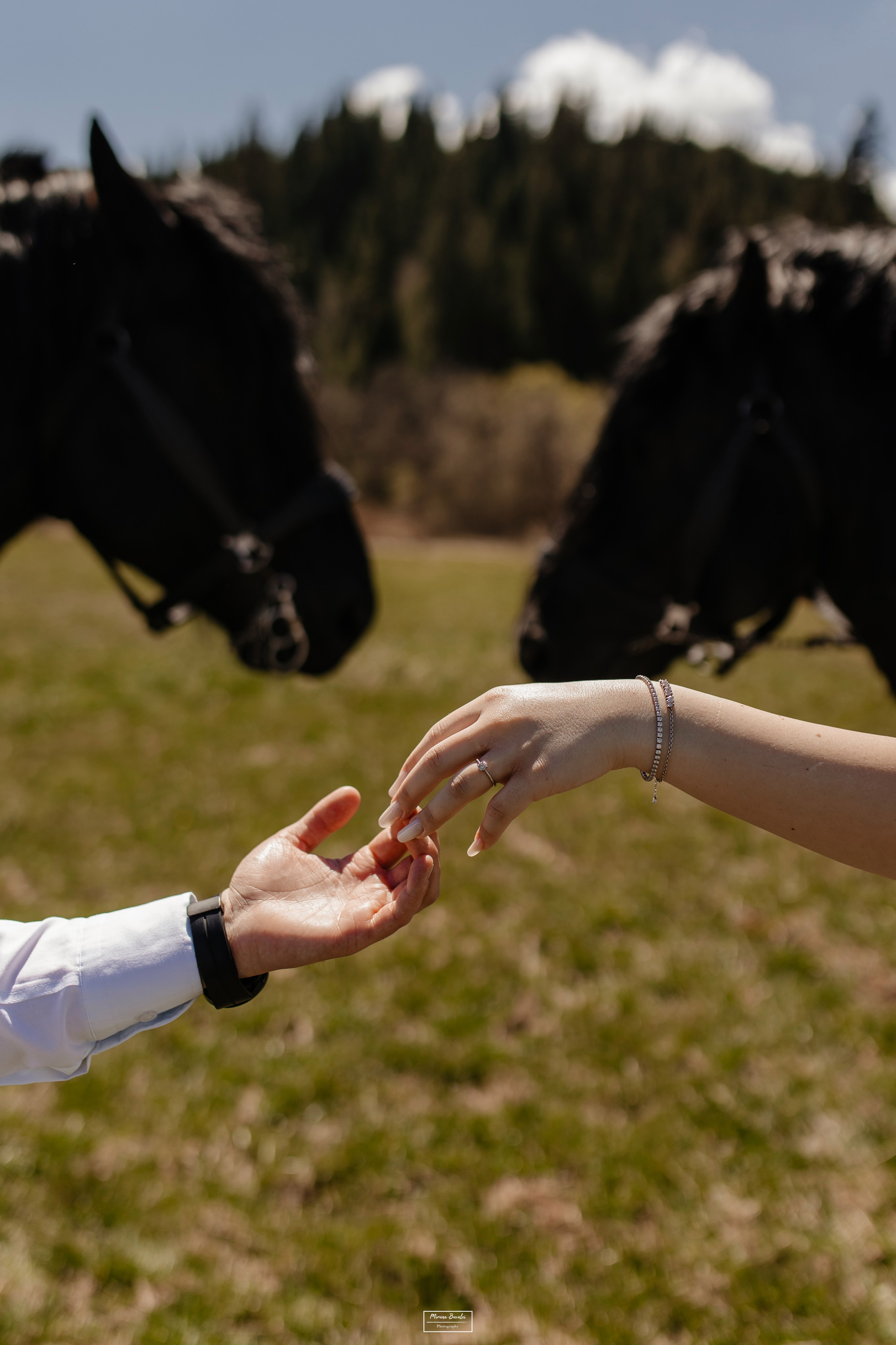 Save The Date — Ioana & Cătălin. Pagină Principală