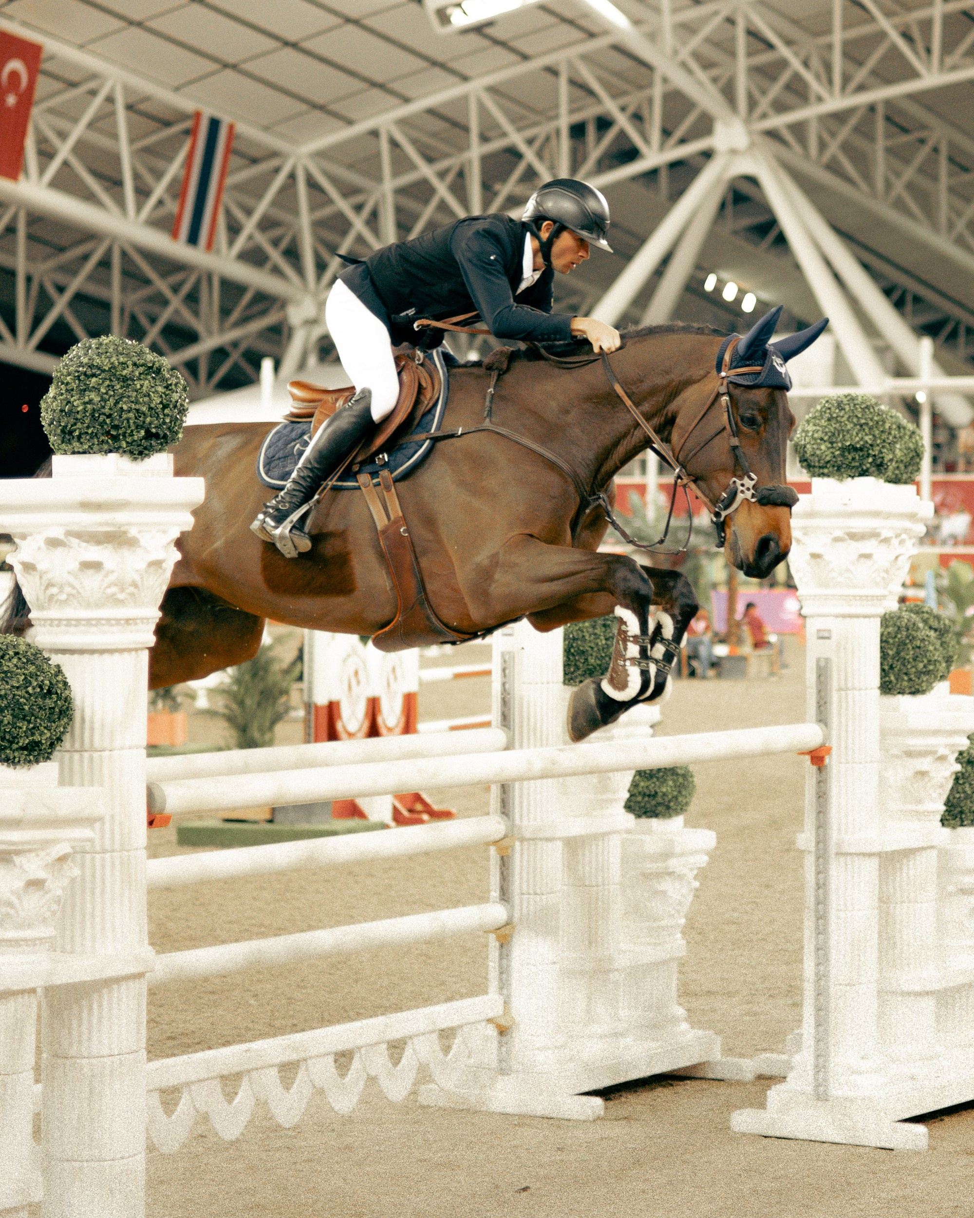 Doha Tour 2024 🐎. Regina Turbin — official website