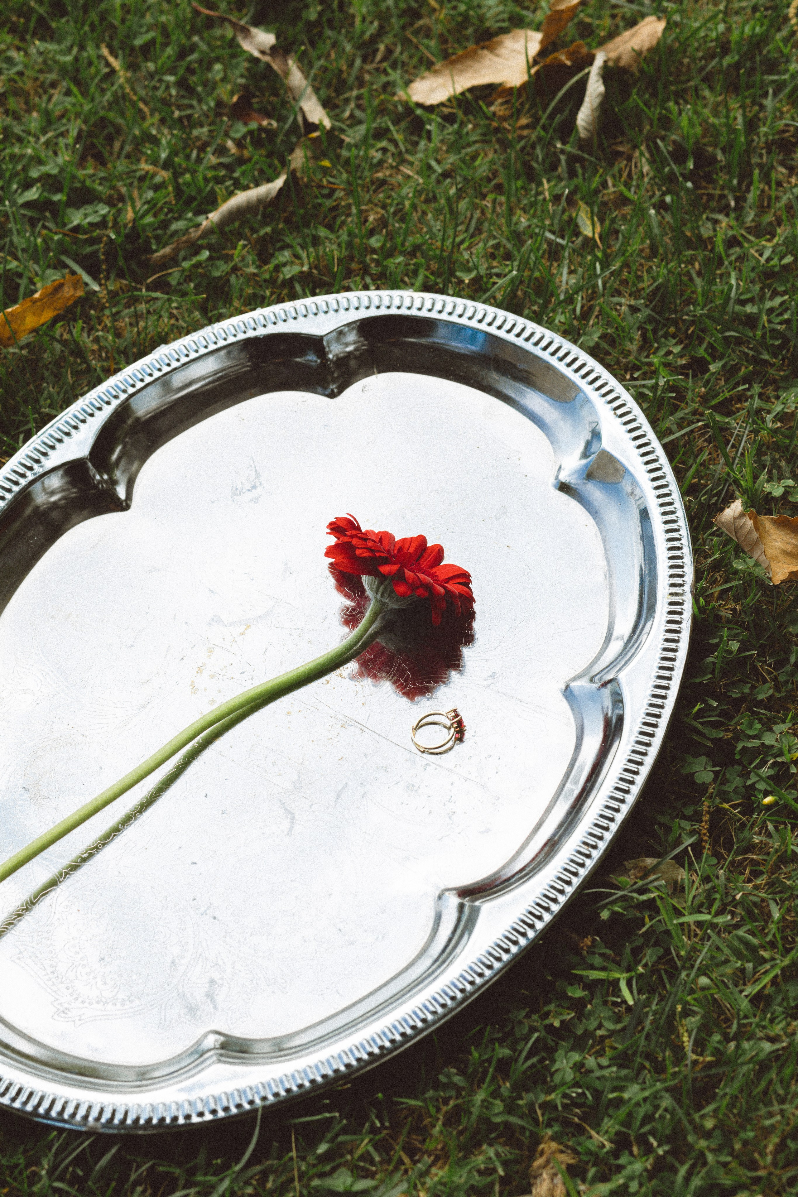 Julia — Red Wedding Editorial on Lake Como. Liza Bizzaro — Italy Wedding, Love Story & Portrait Photographer in Milan, Turin, Piedmont and Across Italy