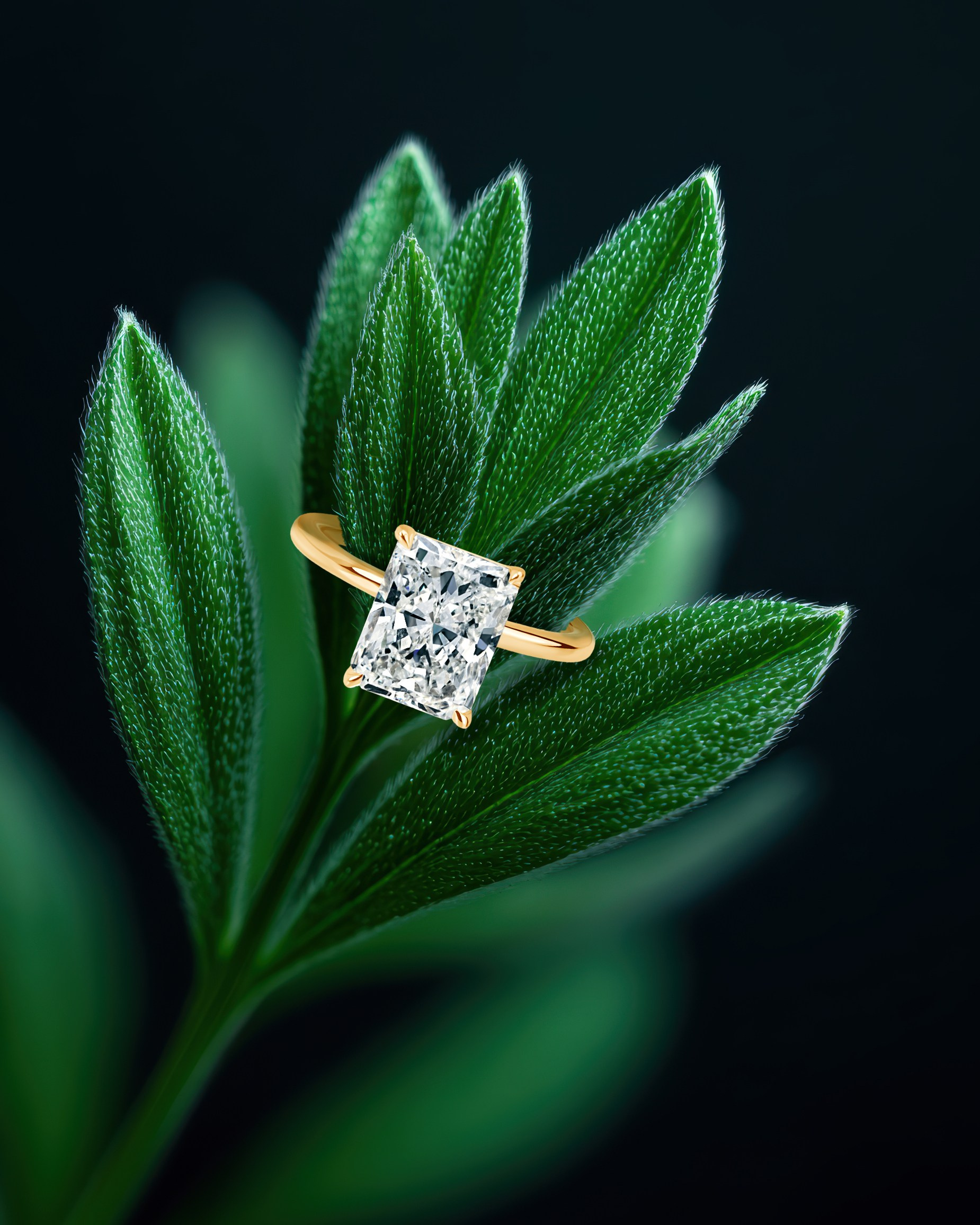 Retouching Portfolio Before\ After. Retoucher Available Worldwide, Product Photographer in Georgia, Batumi Aliaksandra