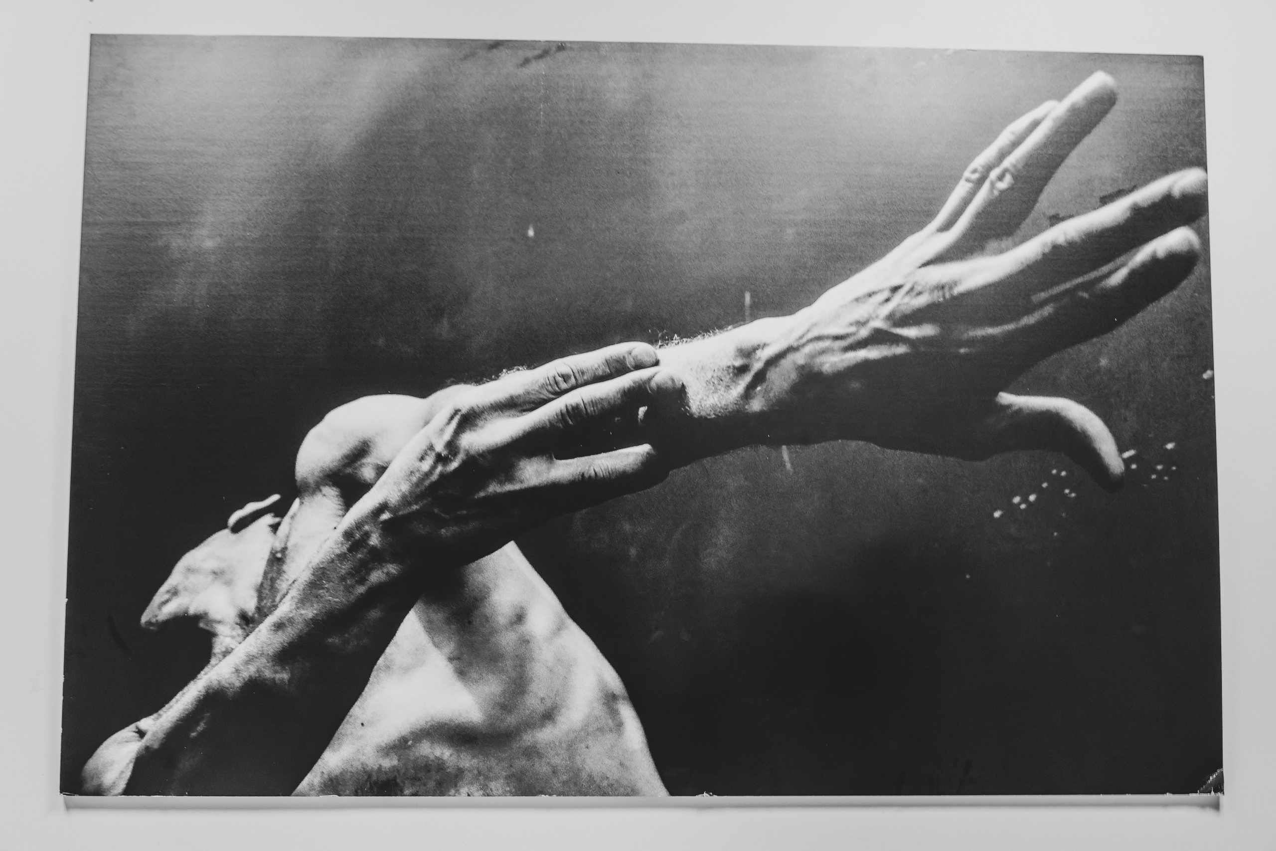 Puhkus Peterburis (Ermitaaž, Shadow muuseum, Grand Maket Venemaa, ArtMuza). Nebula 25 — Fotod teie hingele