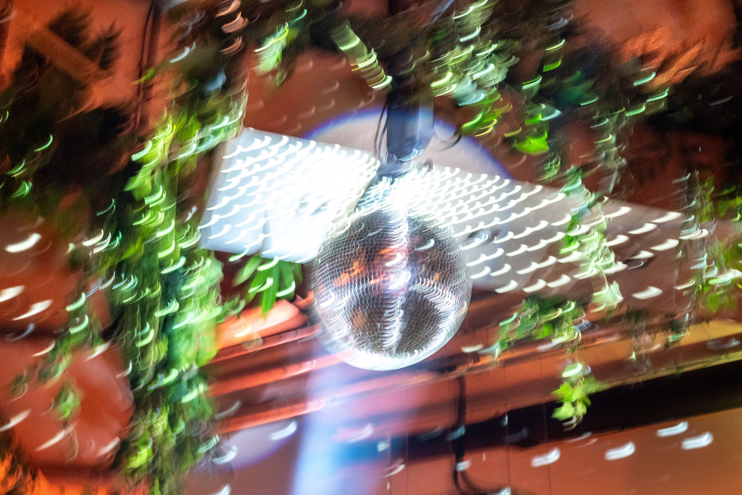 Portfolio. Bosco | Destination Wedding Photographer