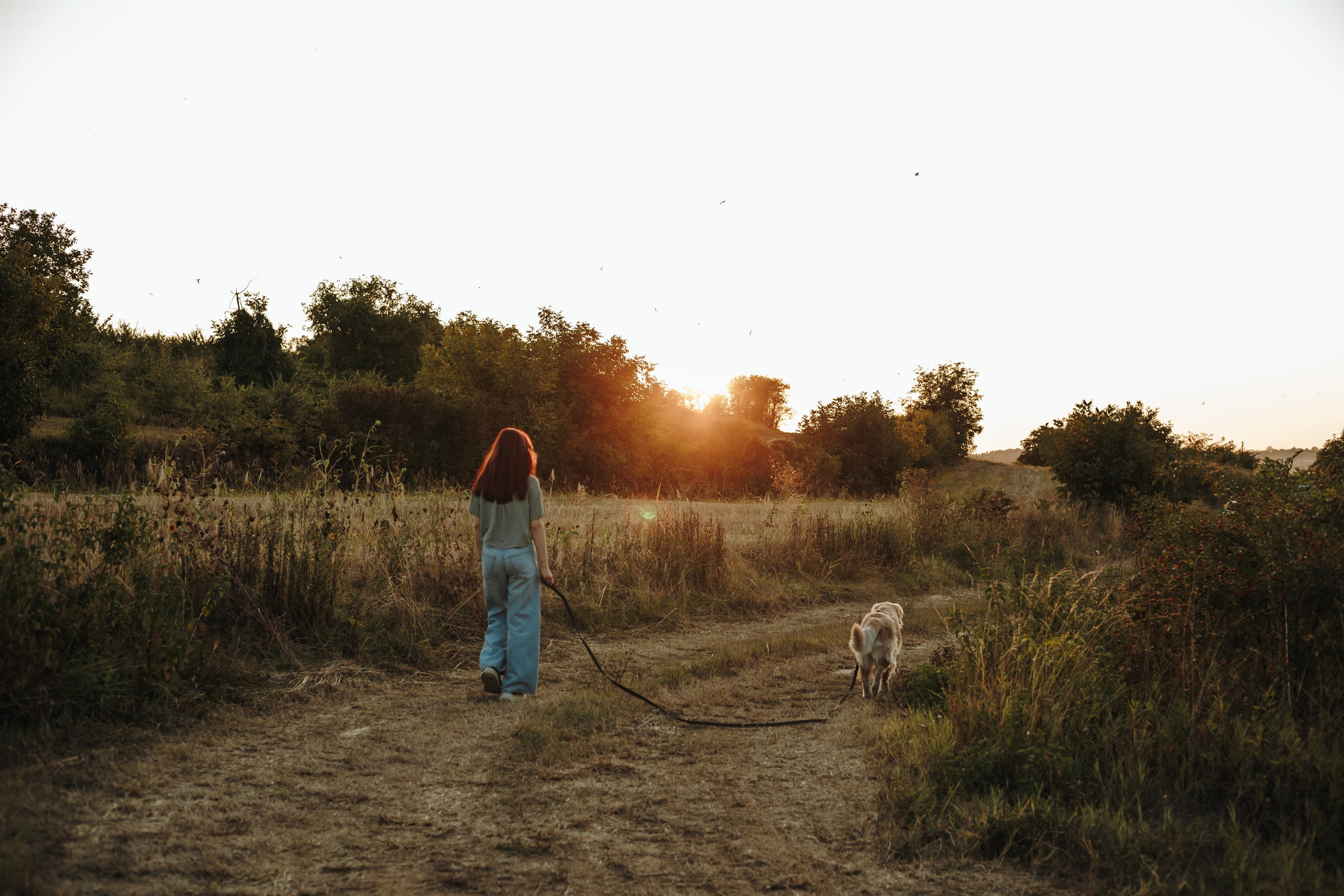 Катя и Бро. Фотограф-анималист | Белград