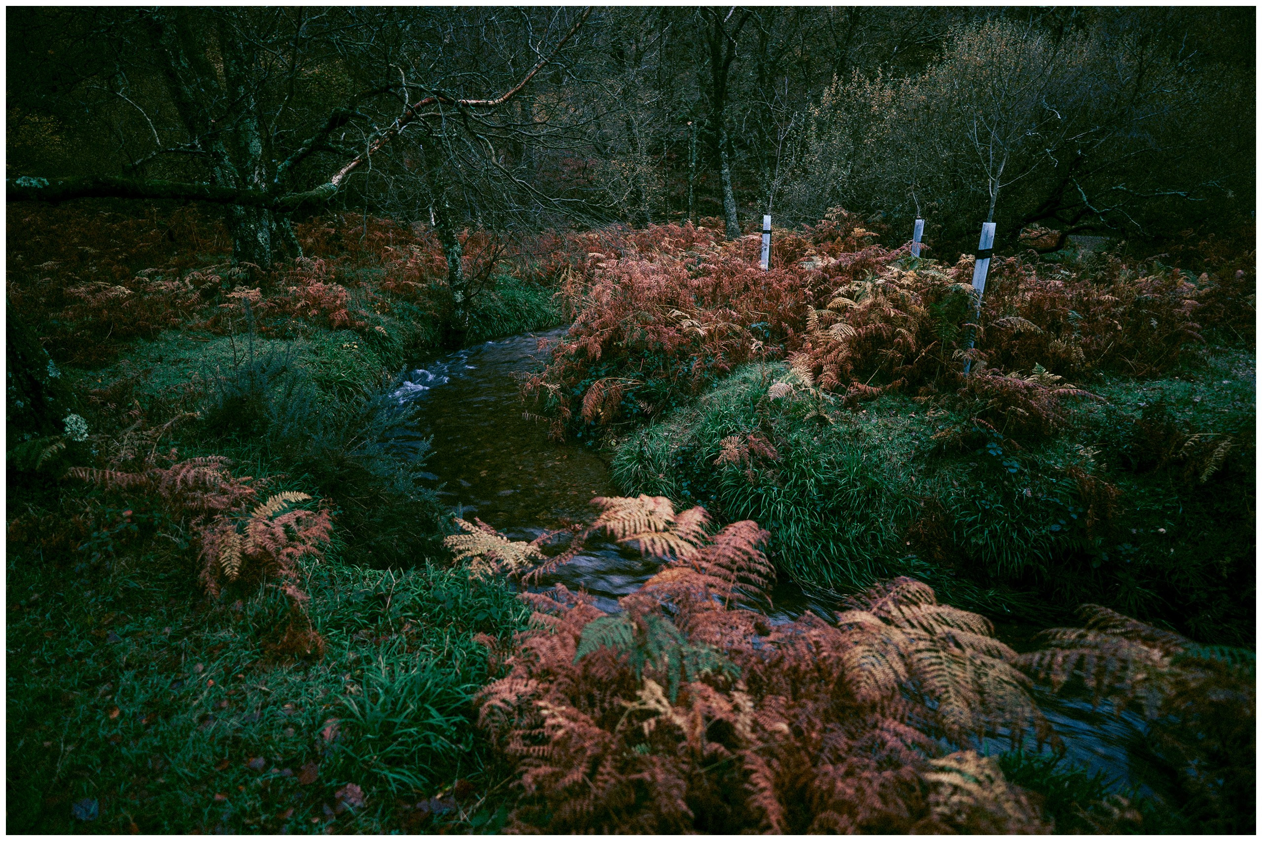 IRELAND. Inna Mendelson — Photographer