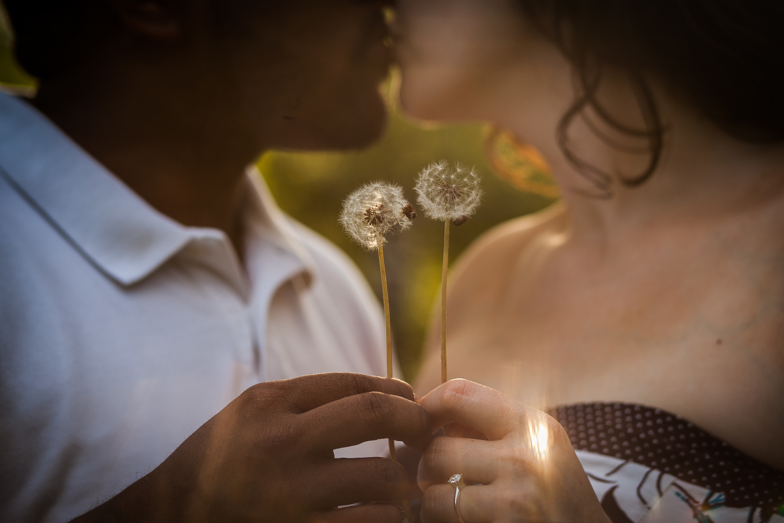 Engagement photography. Lana Photography — Wedding & Family Photographer in Florida & Beyond