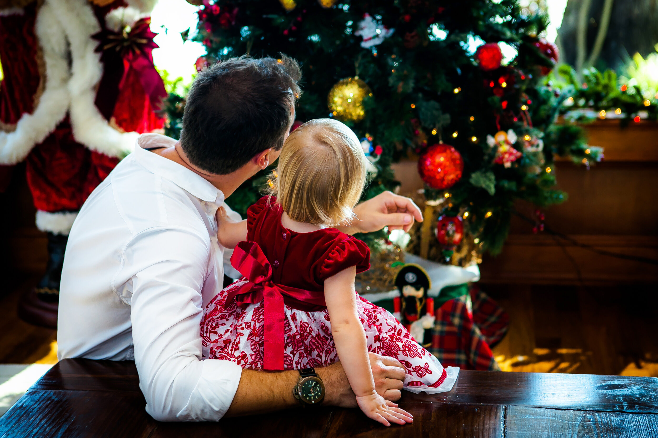 Family Photography in Florida | Timeless Portraits. Lana Photography — Wedding & Family Photographer in Florida & Beyond