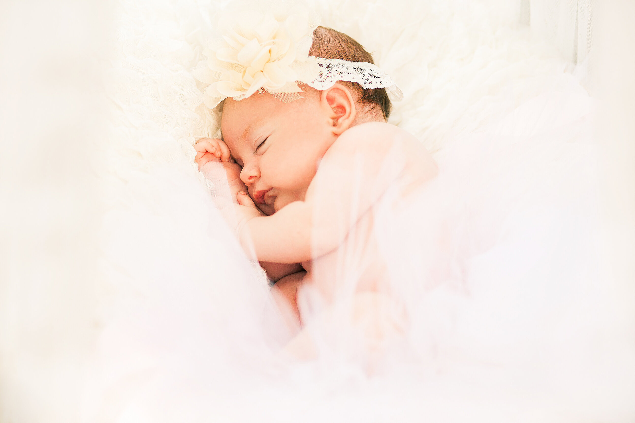 Maternity & Baby Photographer | Orlando & Clermont FL. Lana Photography — Wedding & Family Photographer in Florida & Beyond