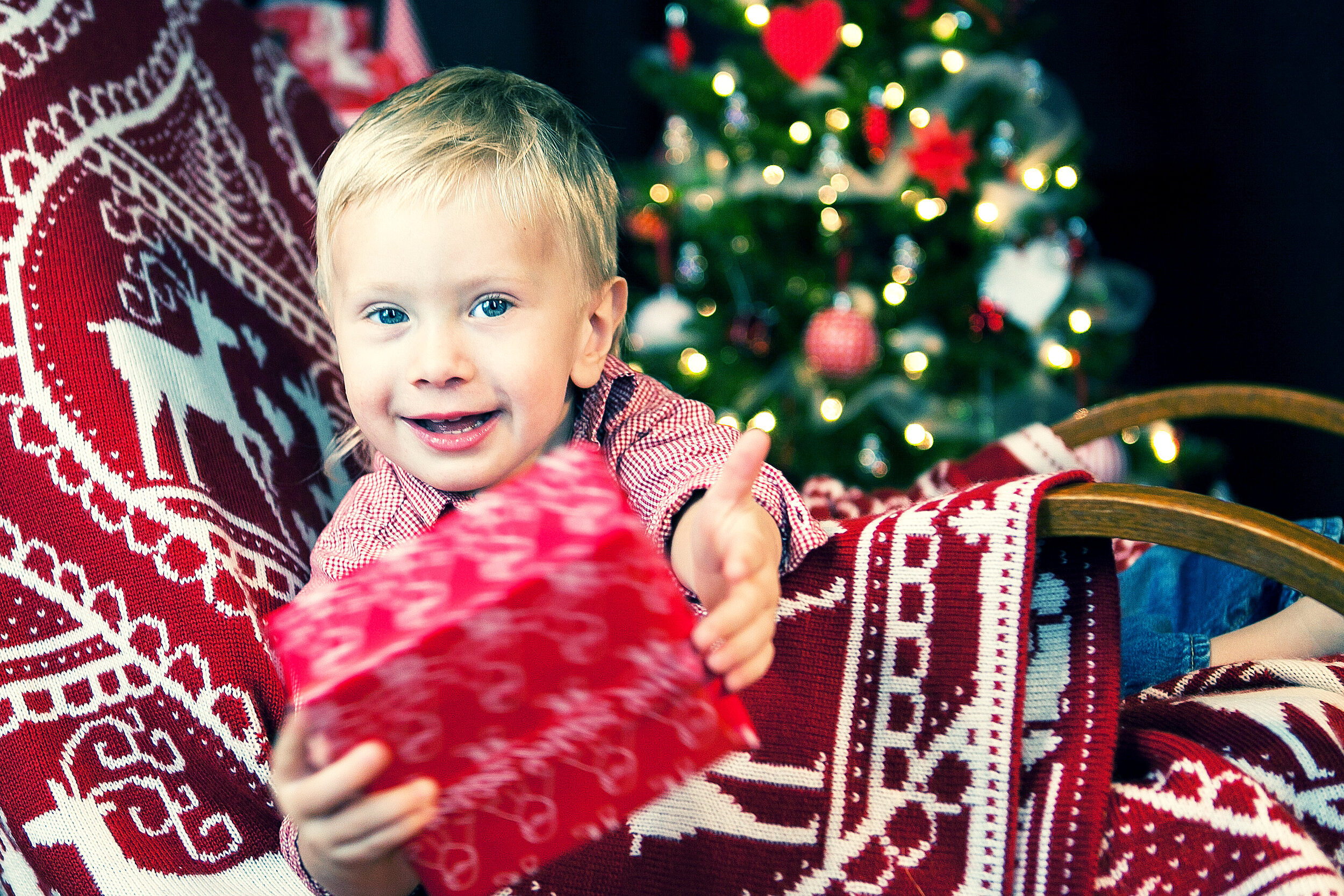 Family Photography in Florida | Timeless Portraits. Lana Photography — Wedding & Family Photographer in Florida & Beyond