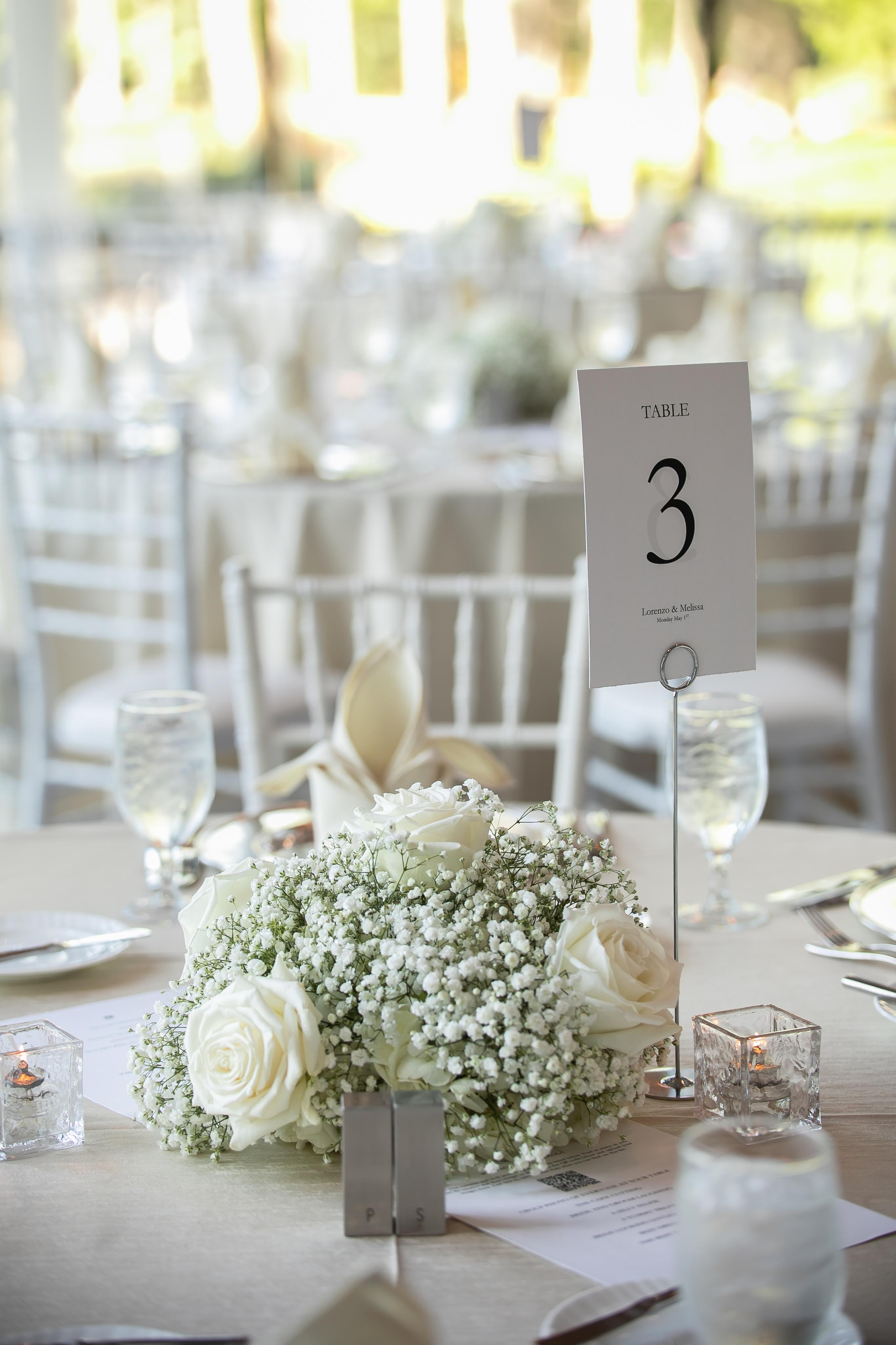 Beautiful Wedding of Lorenzo & Melissa. Lana Photography — Wedding & Family Photographer in Florida & Beyond