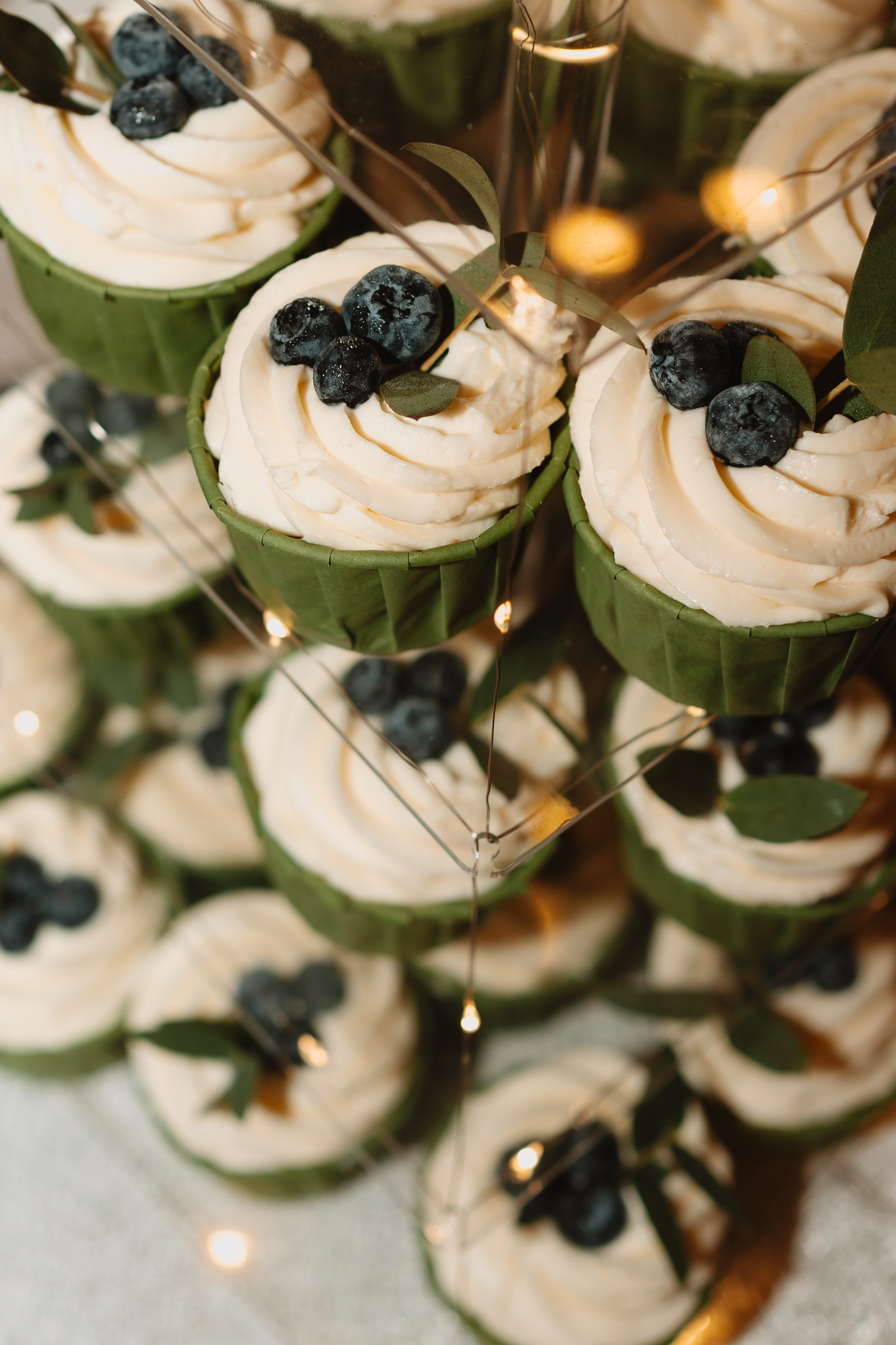 A&M. Montenegro photographer and videographer