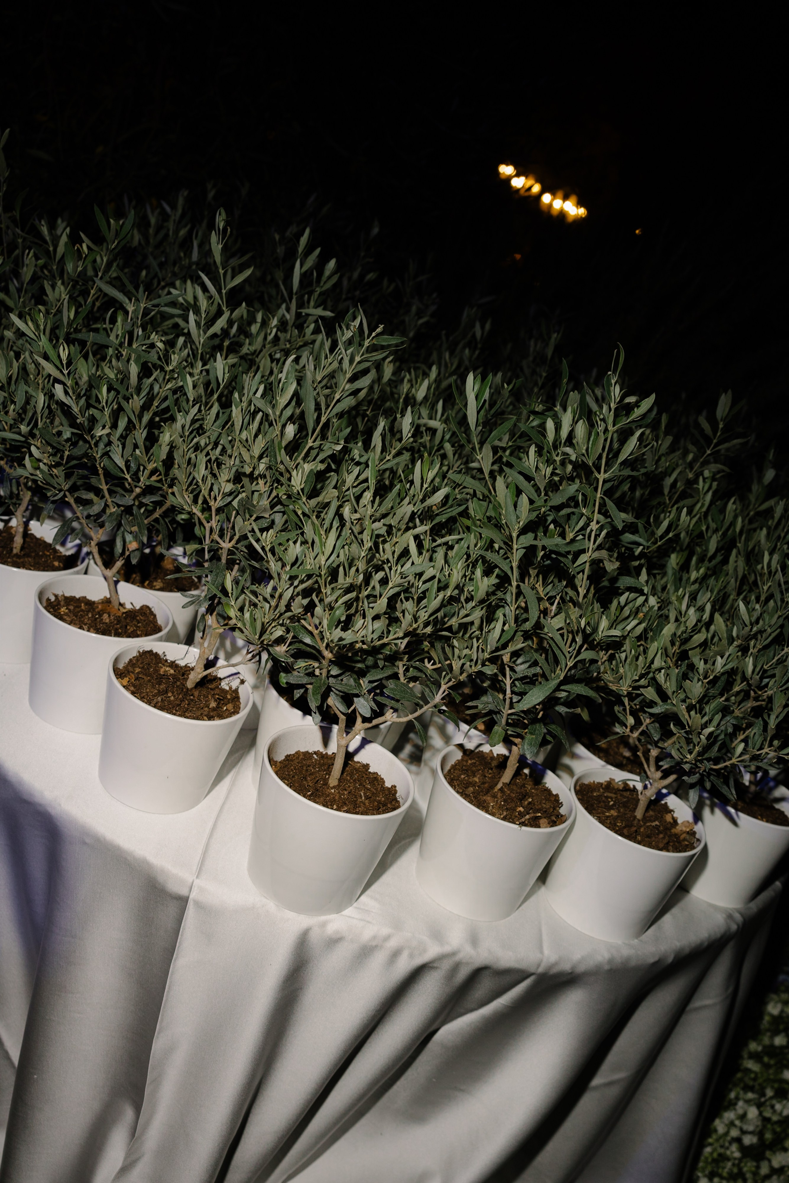 1. Wedding photographer Italy