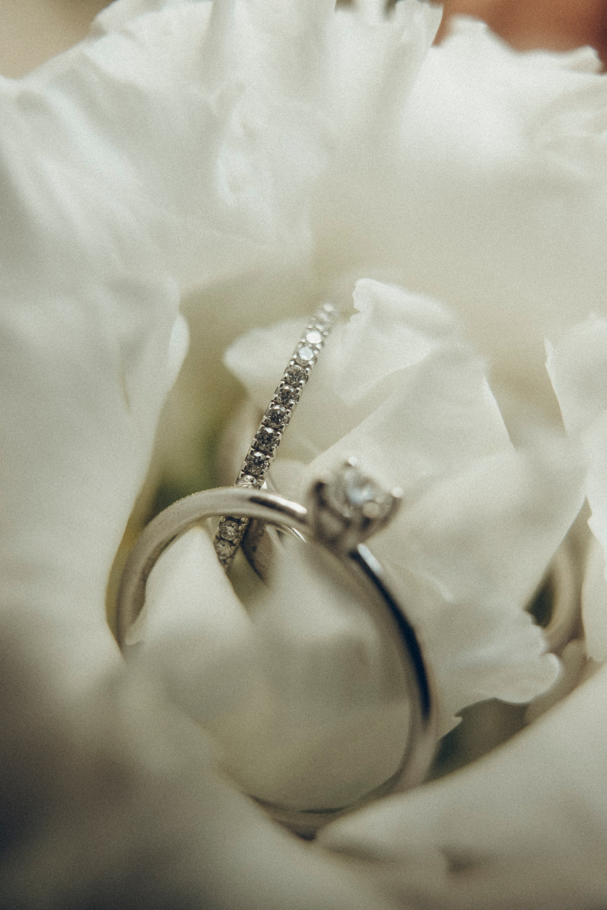 Nadezhda & Dmitry. Masia Mas Coll. Paola wedding photographer / videographer in Barcelona