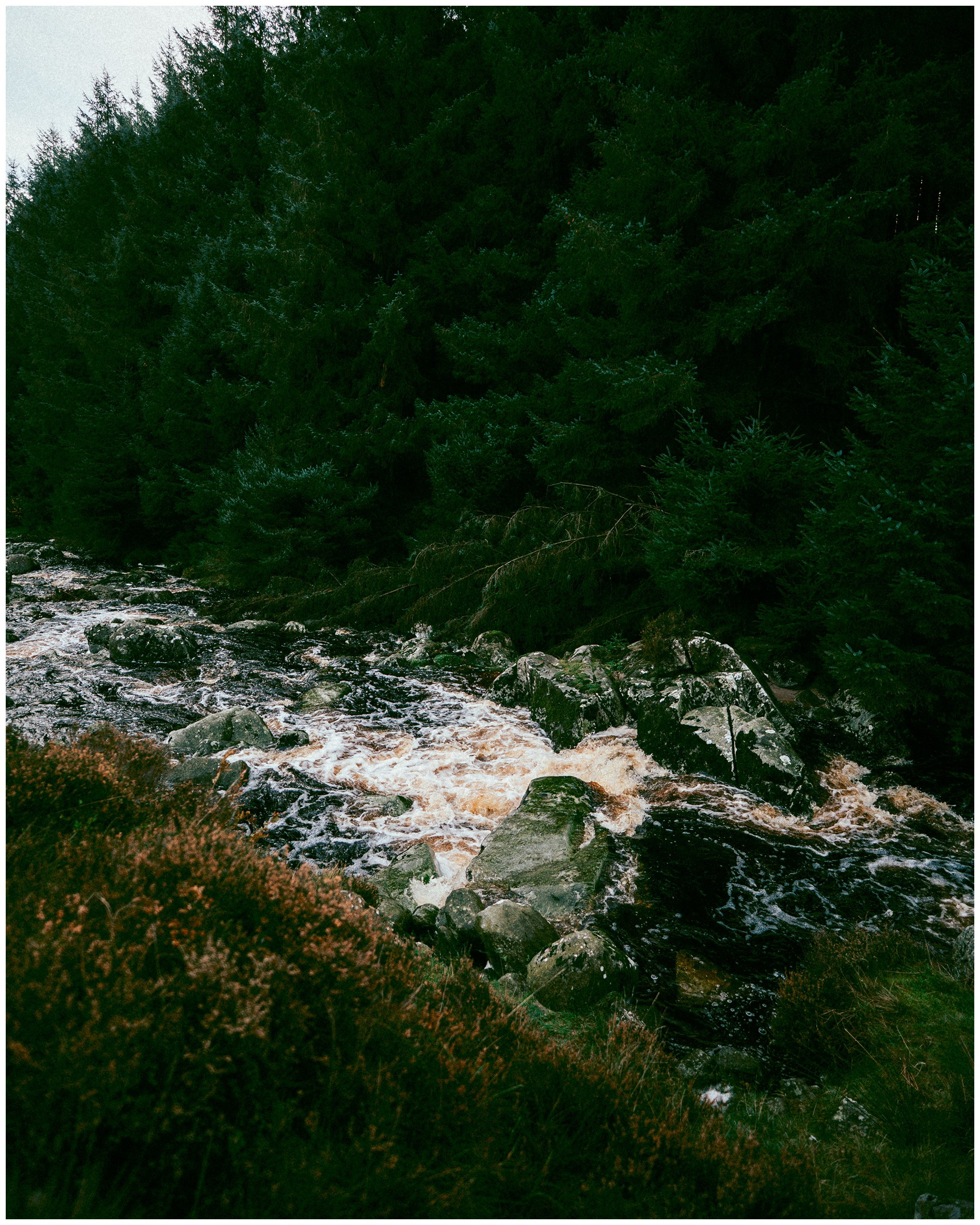 IRELAND. Inna Mendelson — Photographer