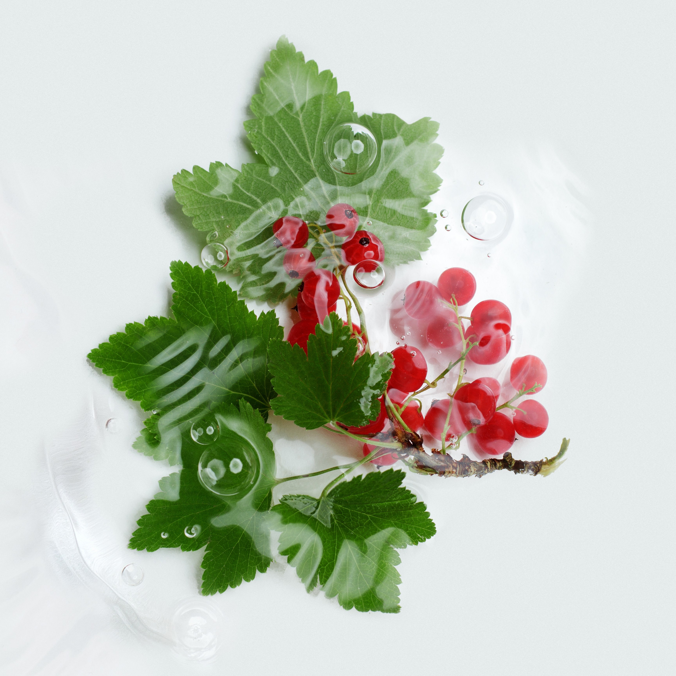 Предметная фотография. Фотограф Илона Иванова, Кондрашин студия, Рига