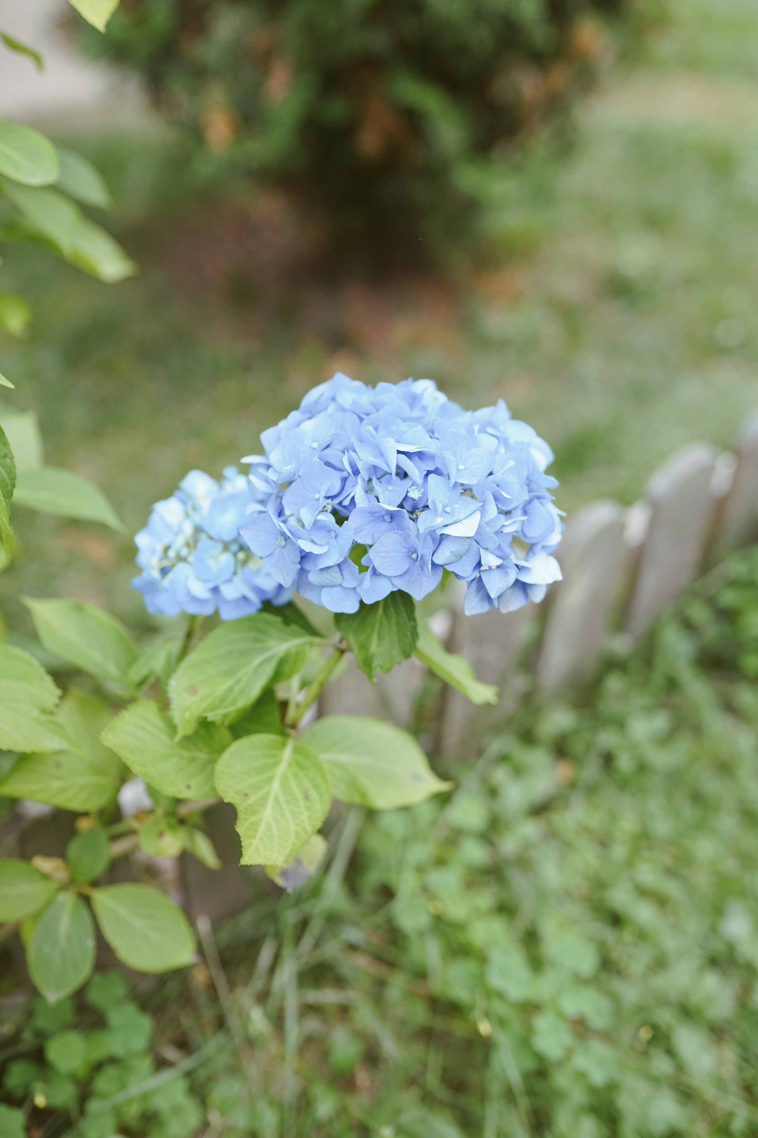 Fotografie de Eveniment Brașov: Povești Vizuale | Mădălina Beda. Madalina Beda- Artist vizual, fotograf, doula la nastere, consultant babywearing Brasov si in toata tara