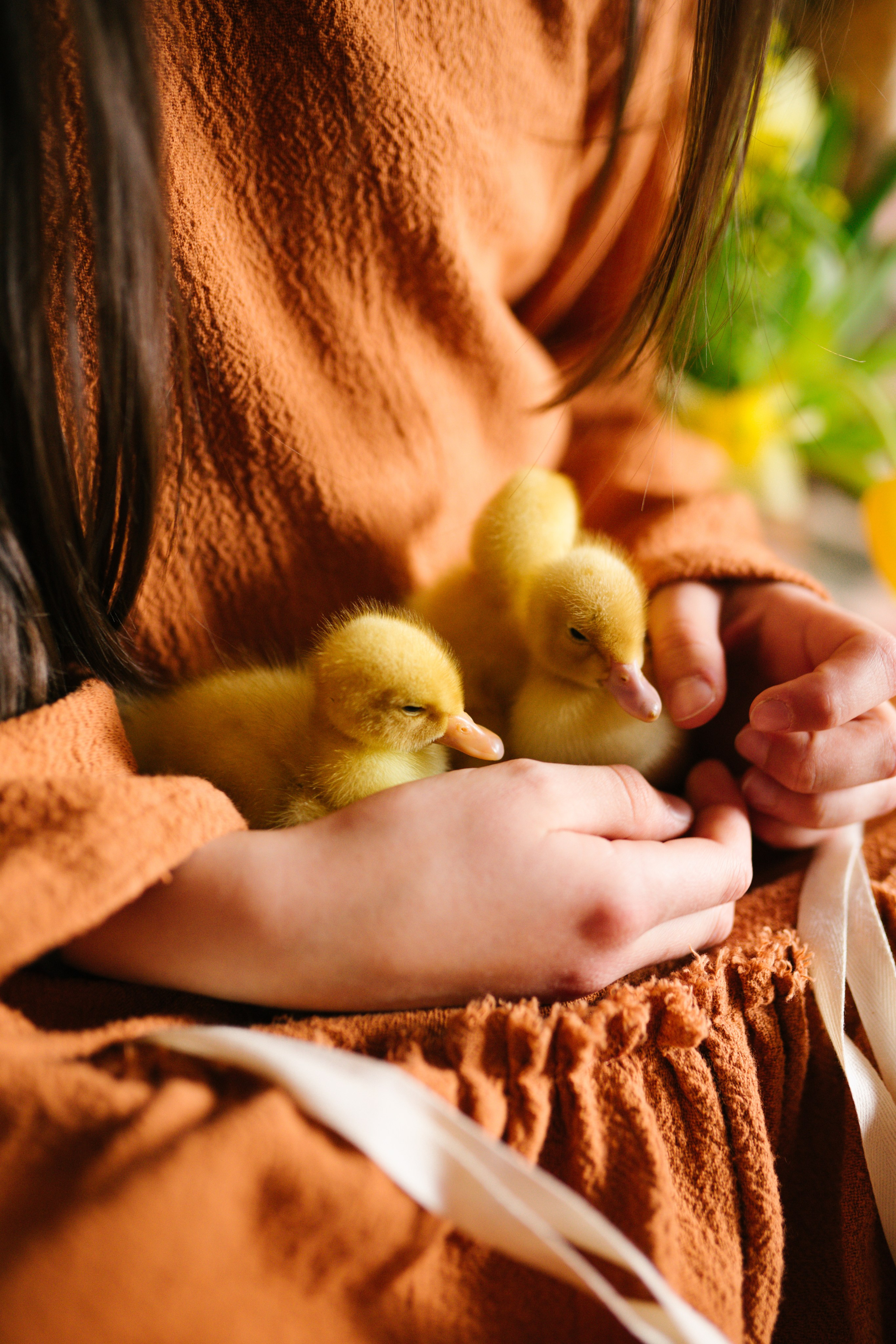 Ședințe Foto de Paște Brașov: Gălbenuș | Mădălina Beda. Madalina Beda- Artist vizual, fotograf, doula la nastere, consultant babywearing Brasov si in toata tara