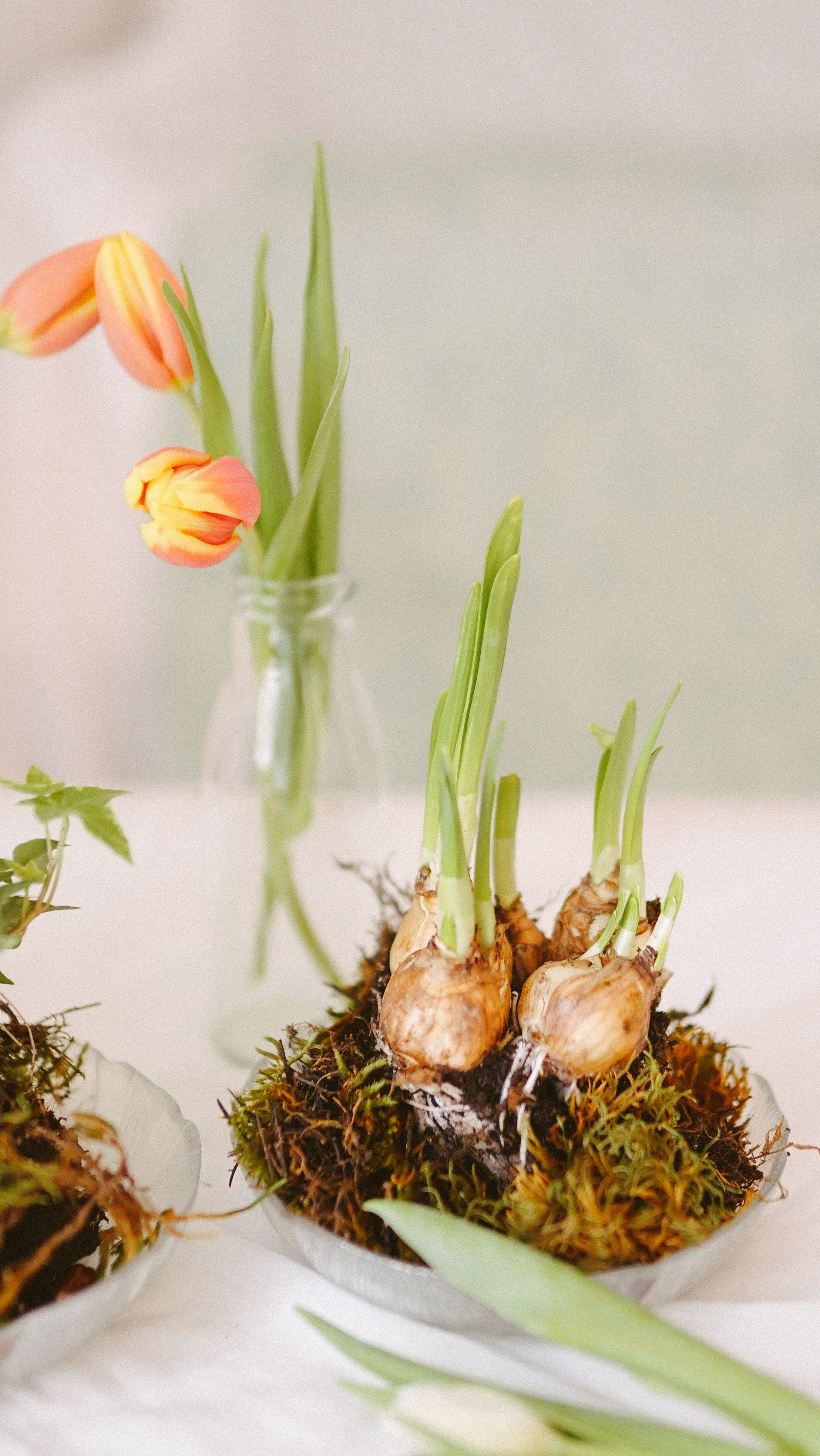 Ședințe Foto Primăvara Colorată Brașov | Mădălina Beda. Madalina Beda- Artist vizual, fotograf, doula la nastere, consultant babywearing Brasov si in toata tara