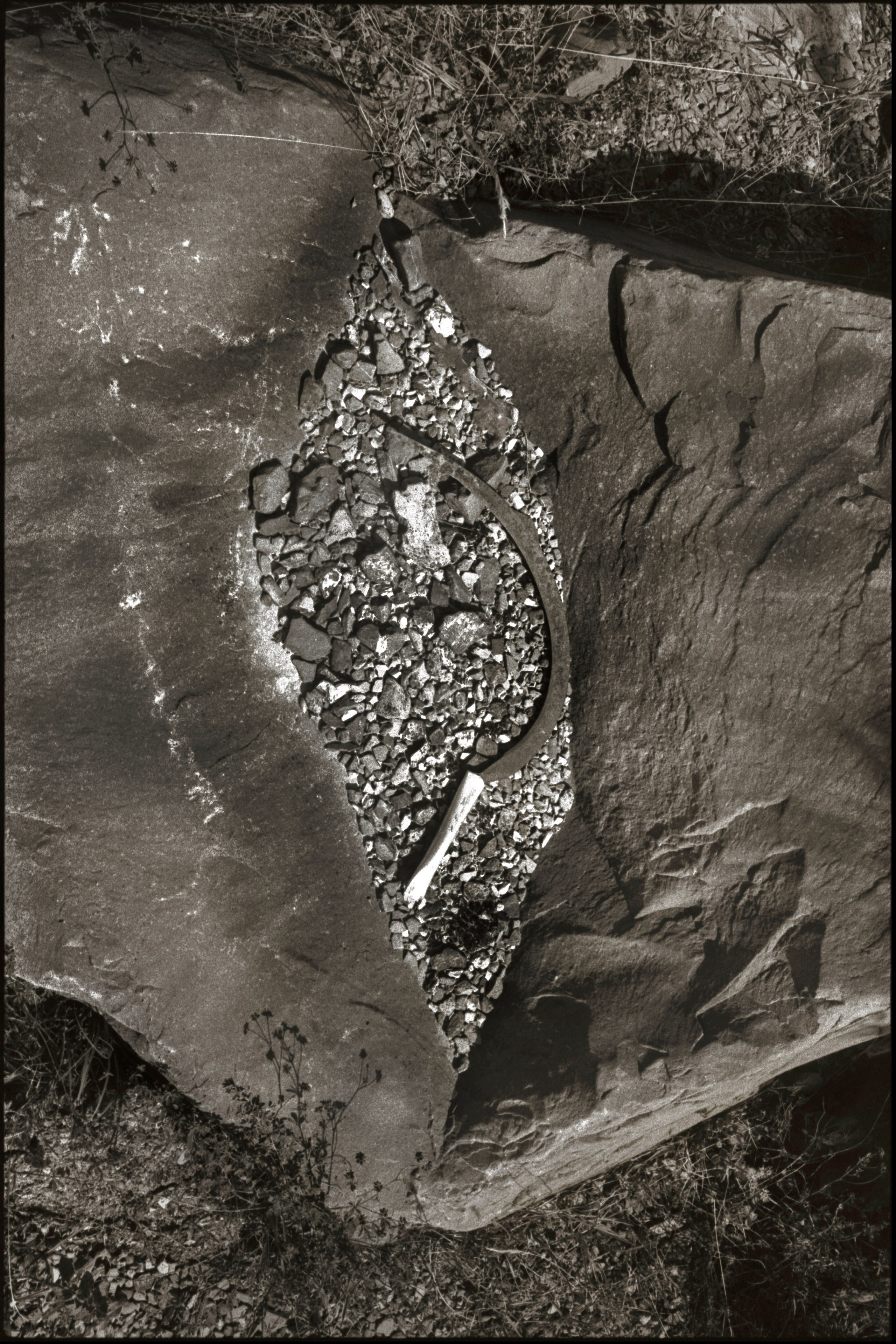 NATURE. Www.sananaleskerov.com