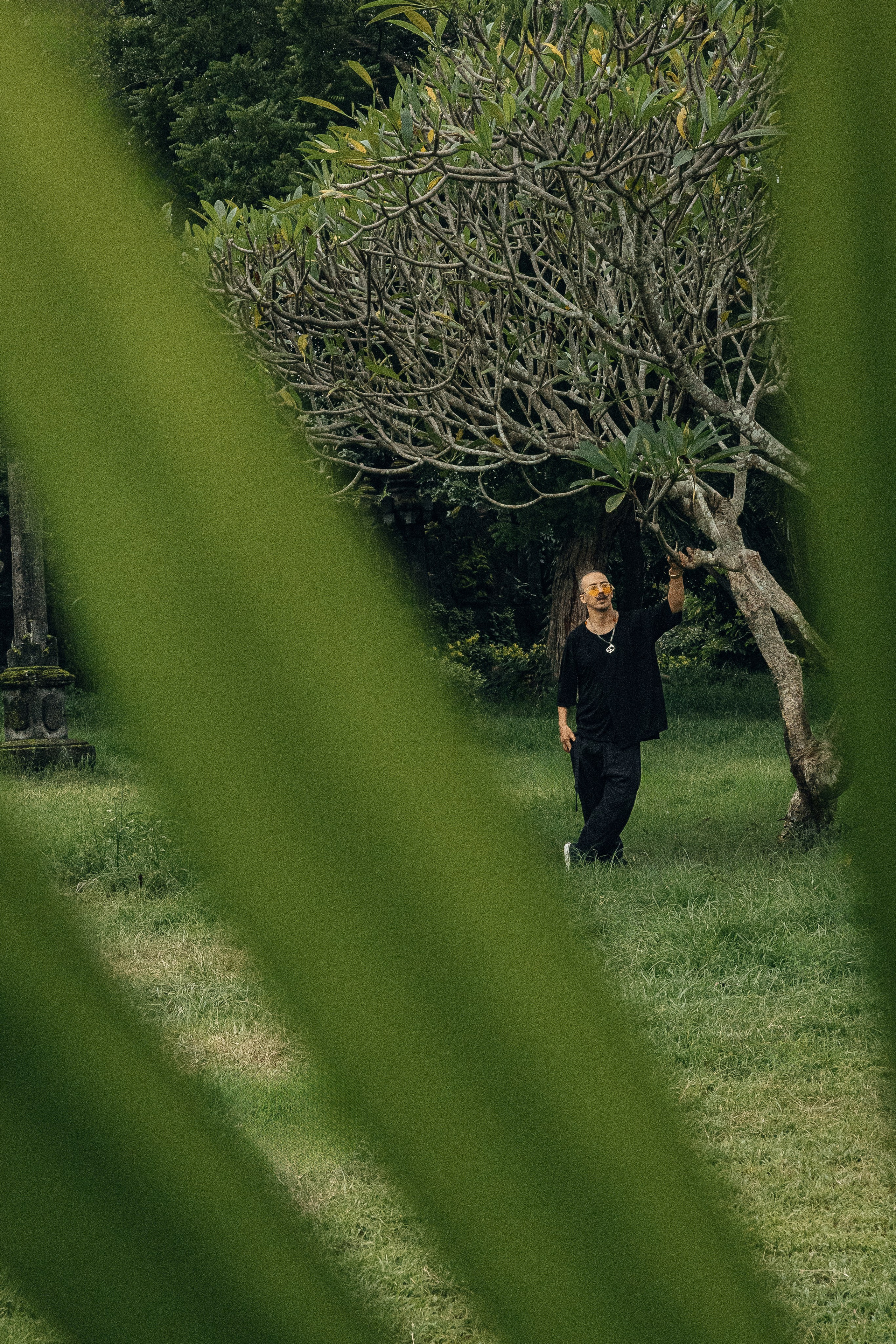 MR CAT. Профессиональный фотограф Нурмиева Вероника