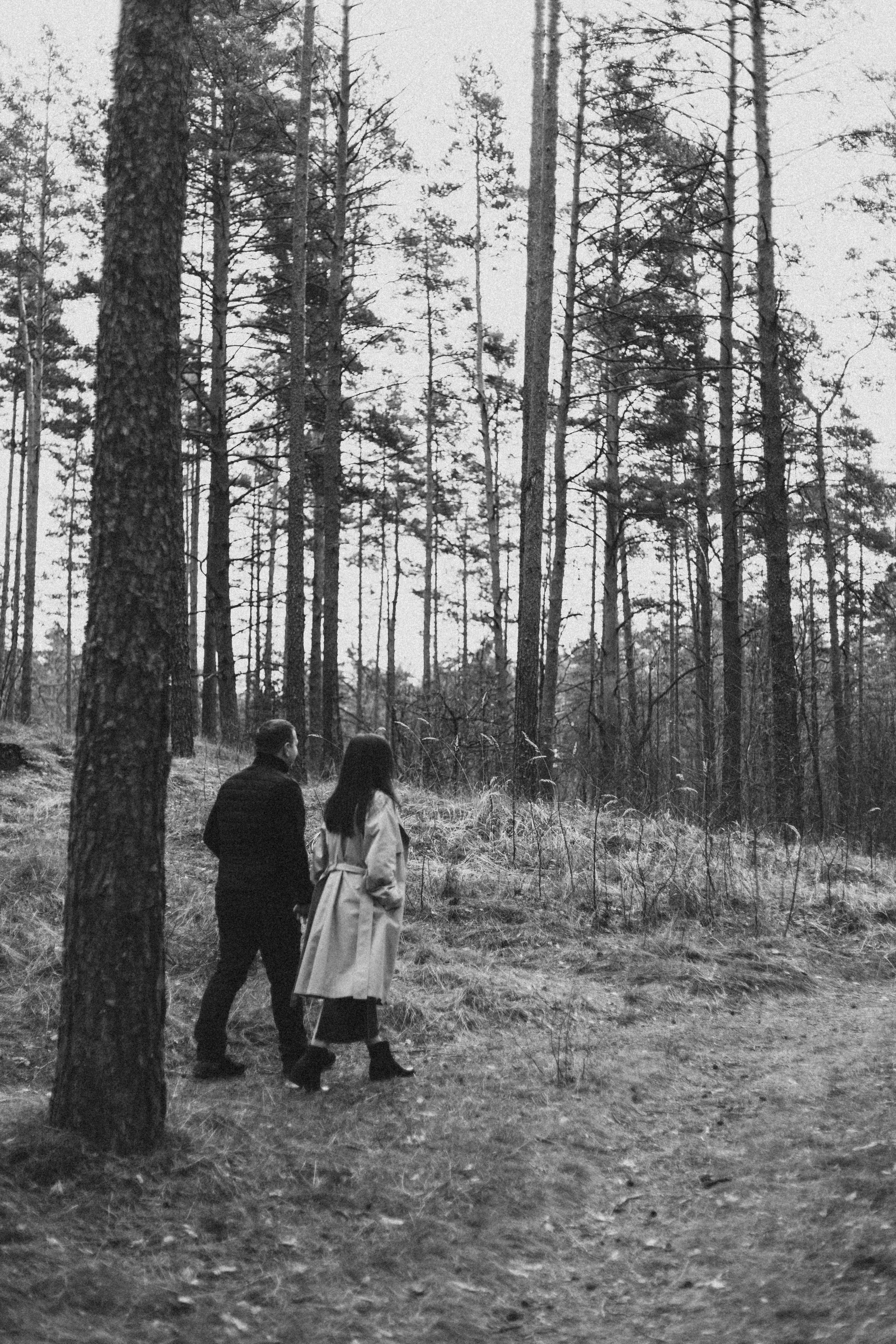 Dita un Valērijs. GALVENĀ