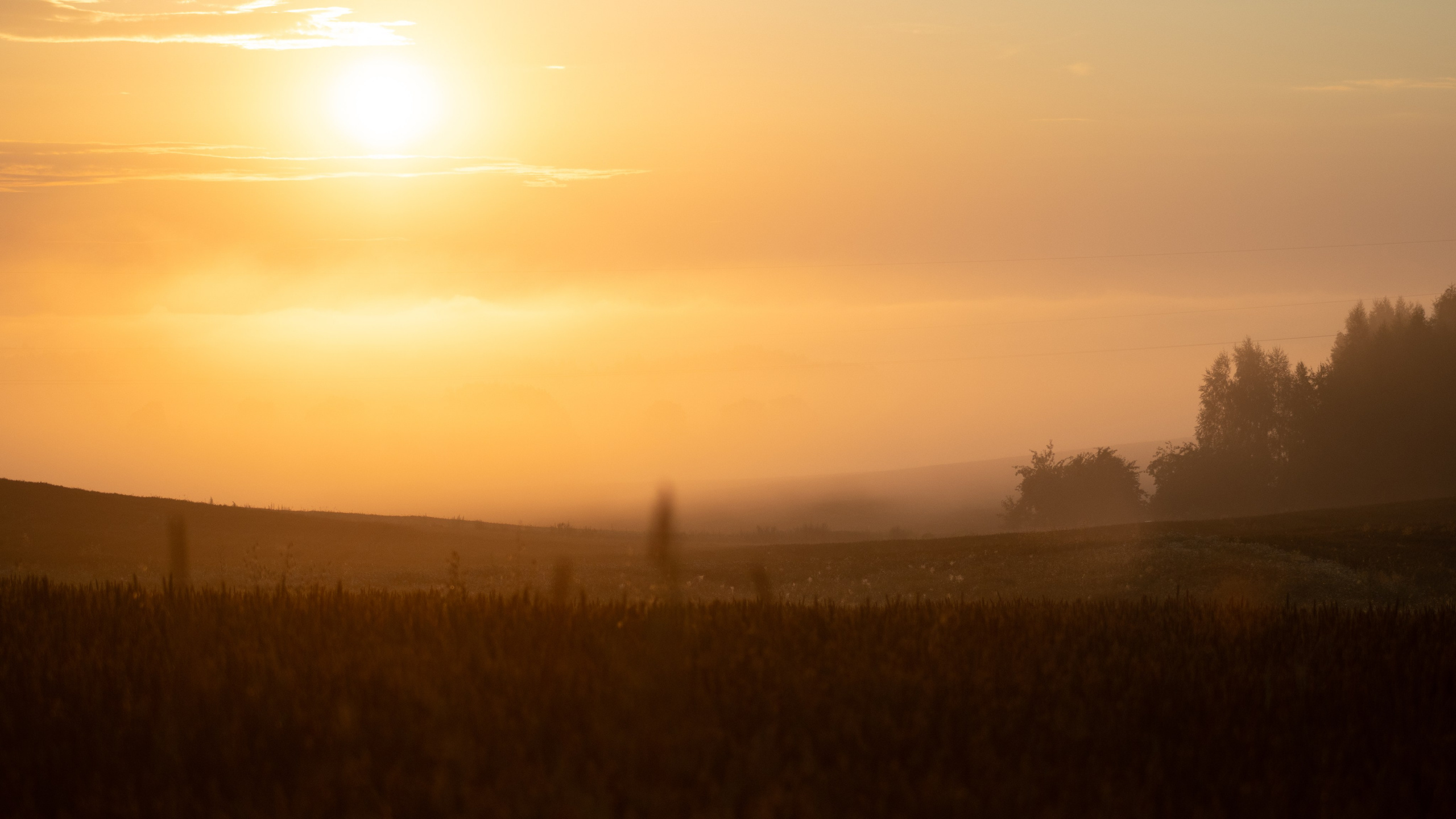 Landscape. Portrait and Street photographer in Vilnius Edgar Shaipunas