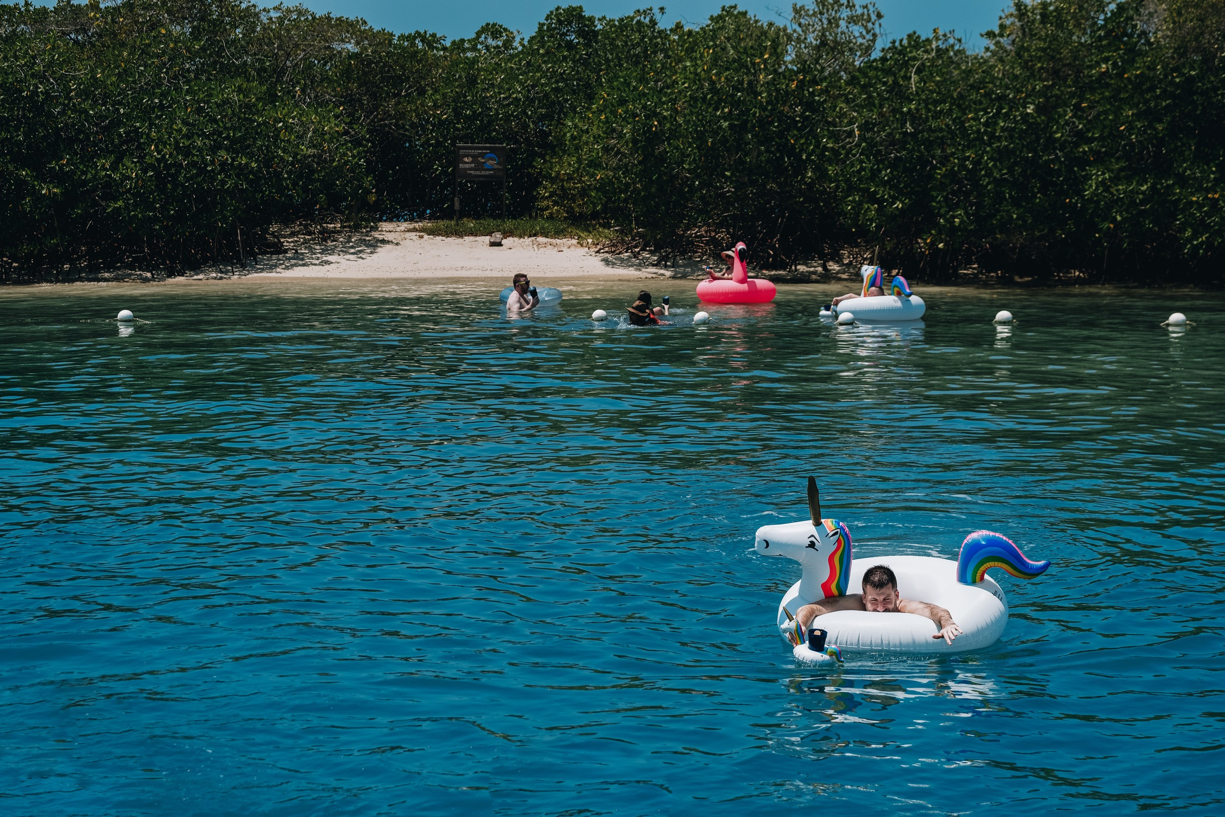 Matew & Andrew. UNTERCIO BODAS