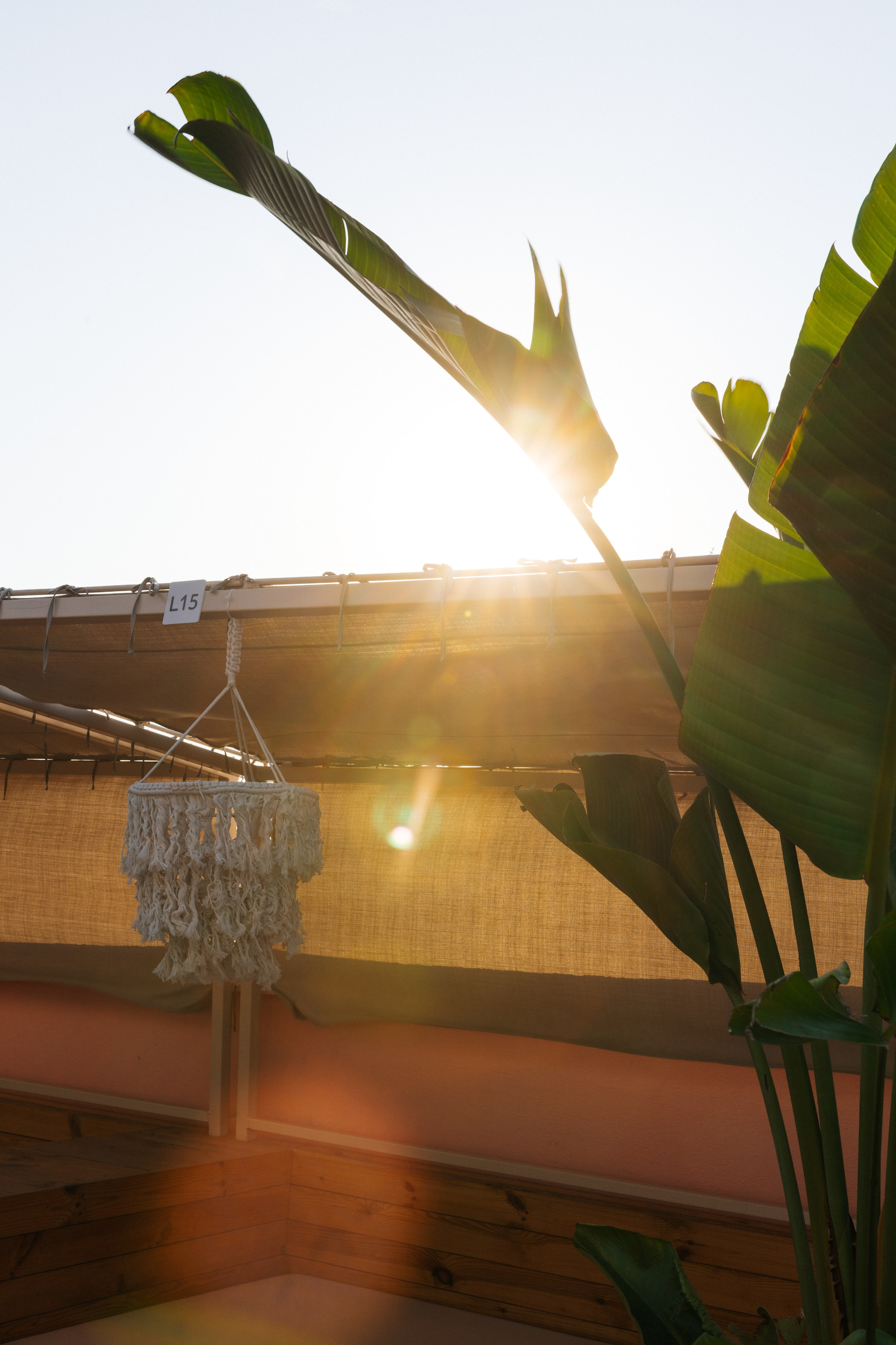 TOP SEXY — VIP MAGAZIN. Fulga Photographer