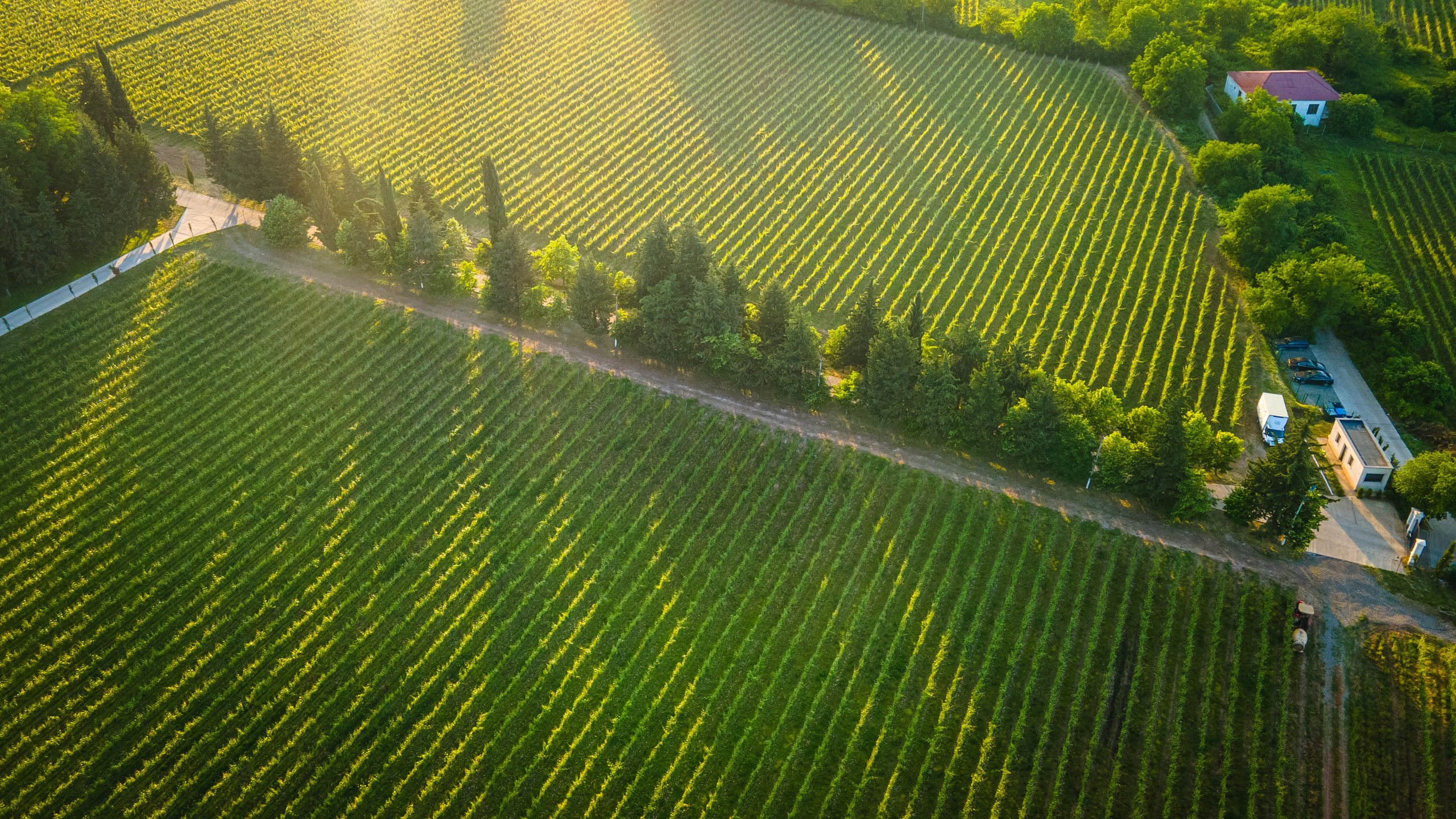 Photographer in Tbilisi