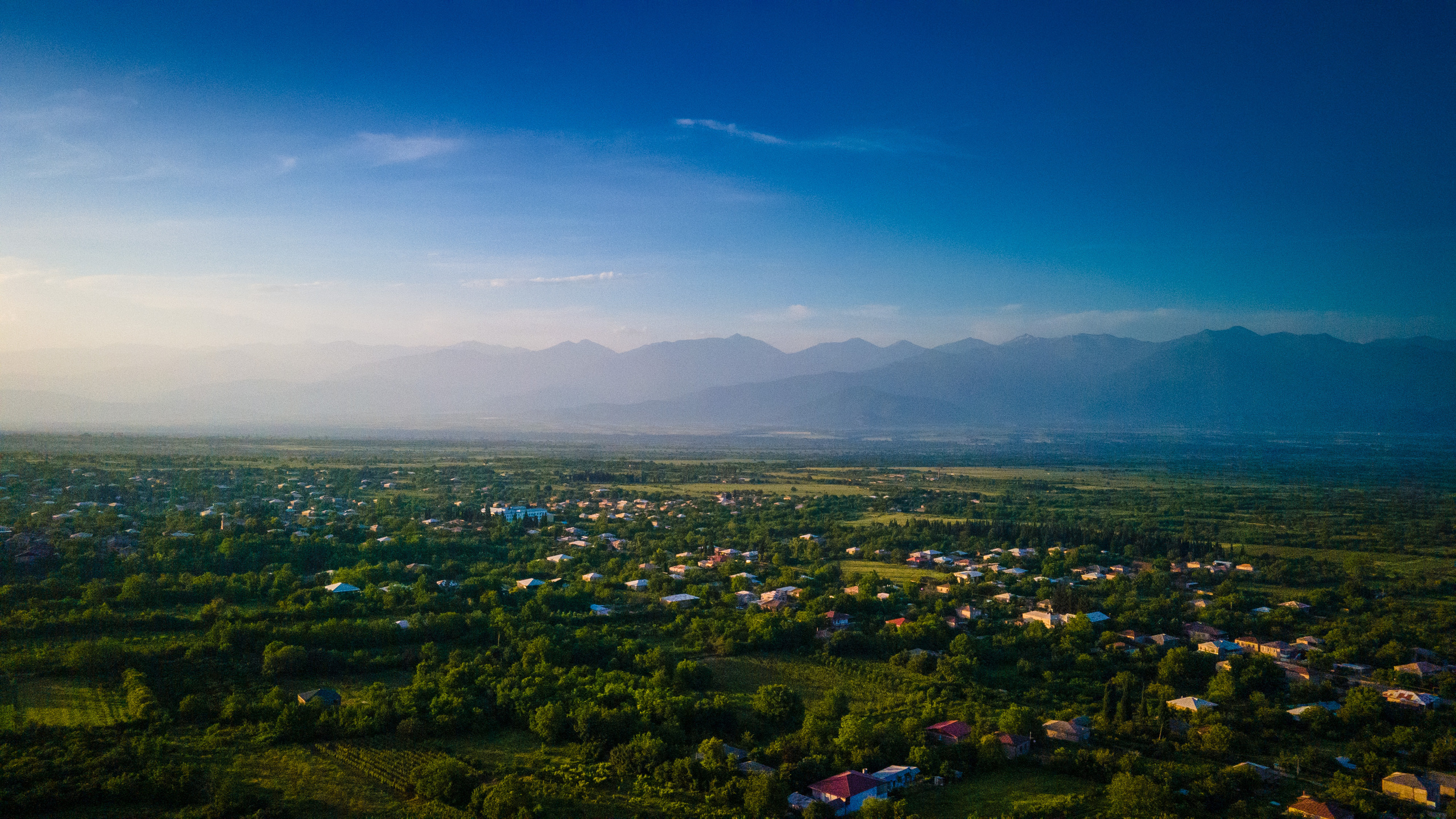 Photographer in Tbilisi