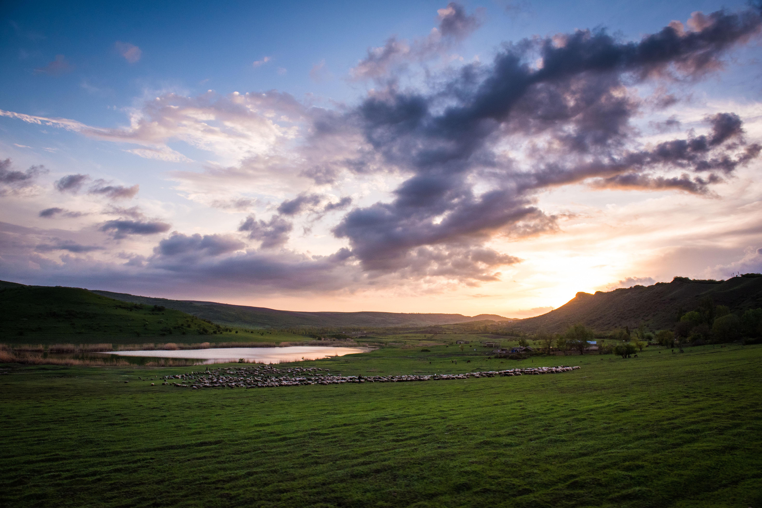 Landscapes. Photographer in Tbilisi