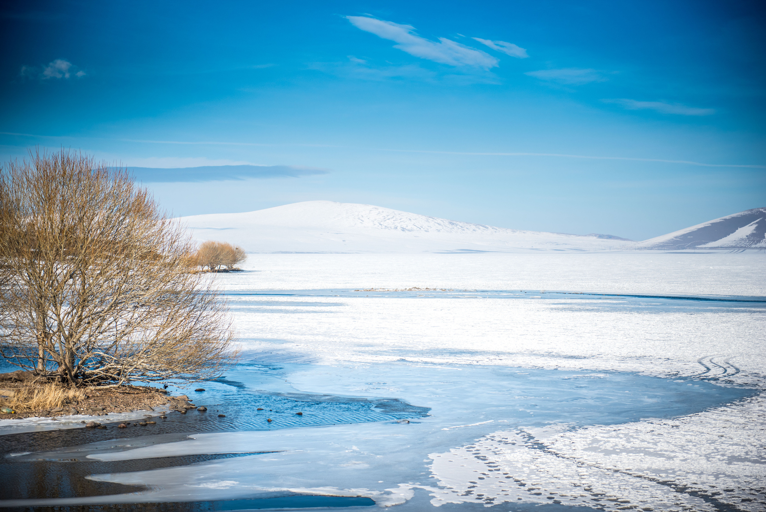 Landscapes. Photographer in Tbilisi
