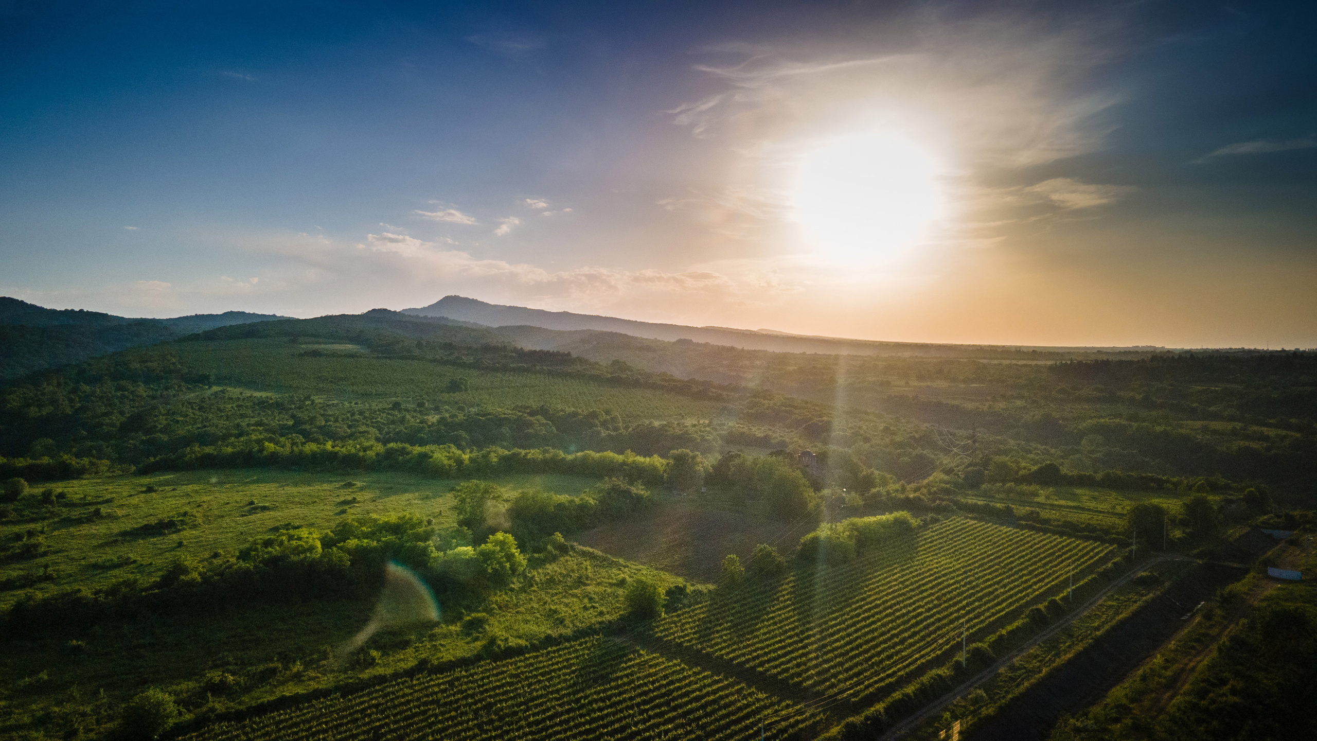 Photographer in Tbilisi