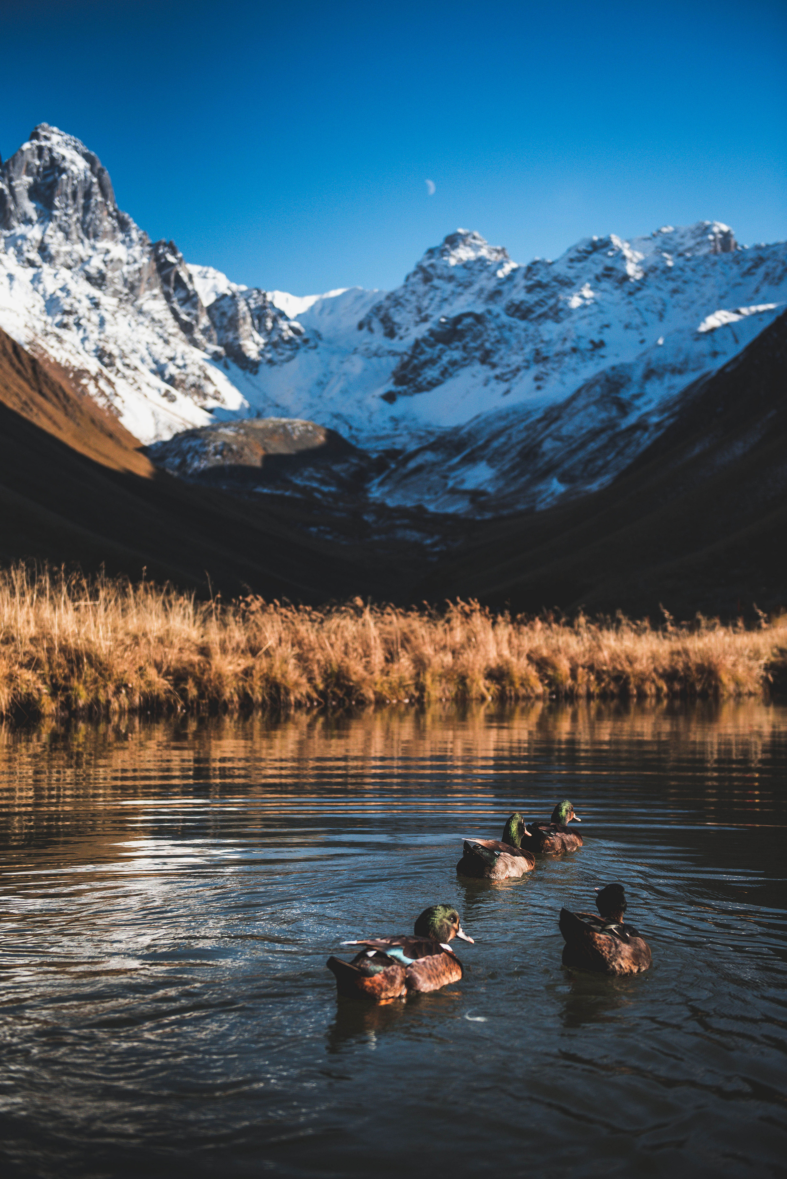 Landscapes. Photographer in Tbilisi